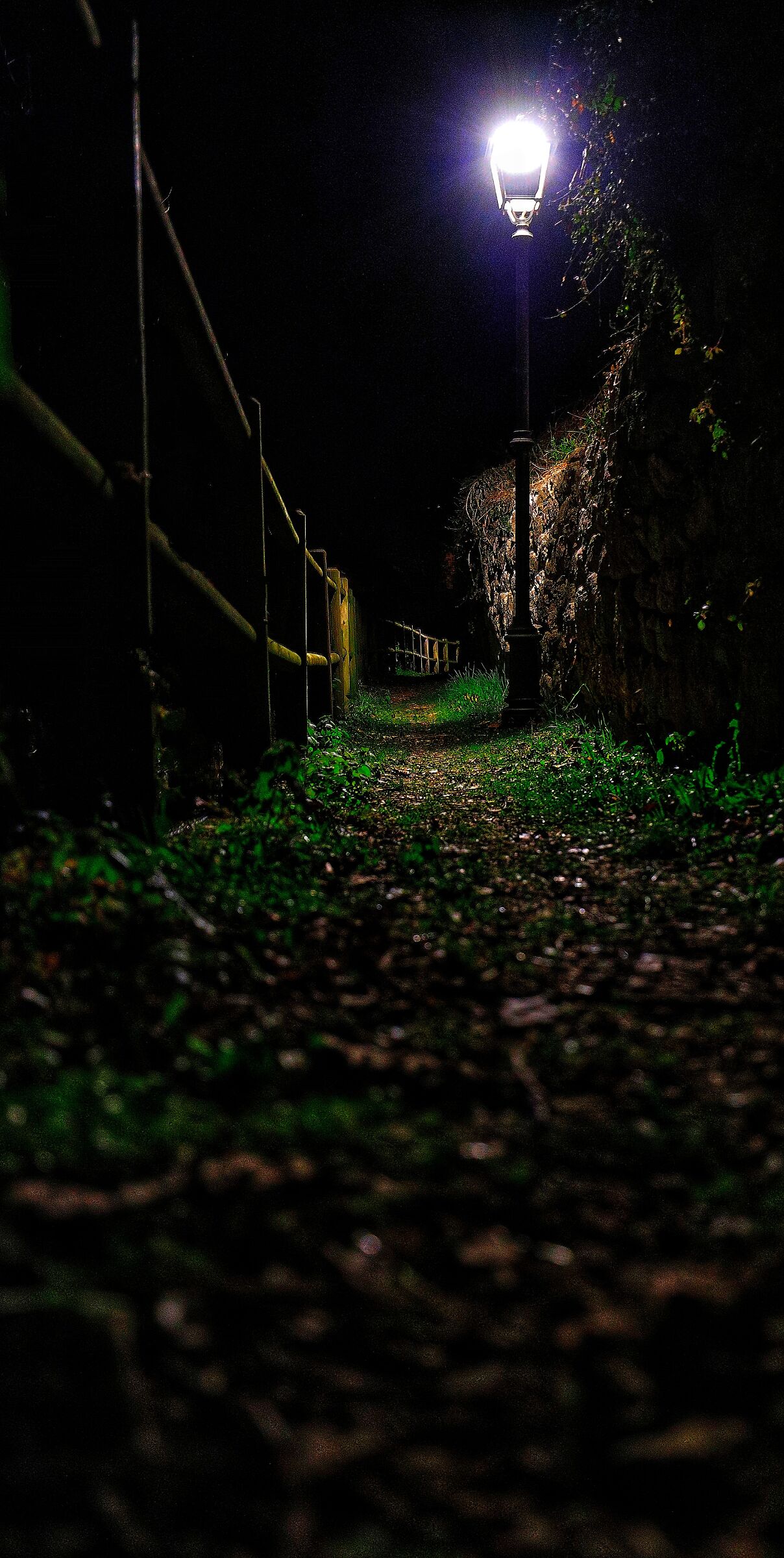 The path of the Alpini