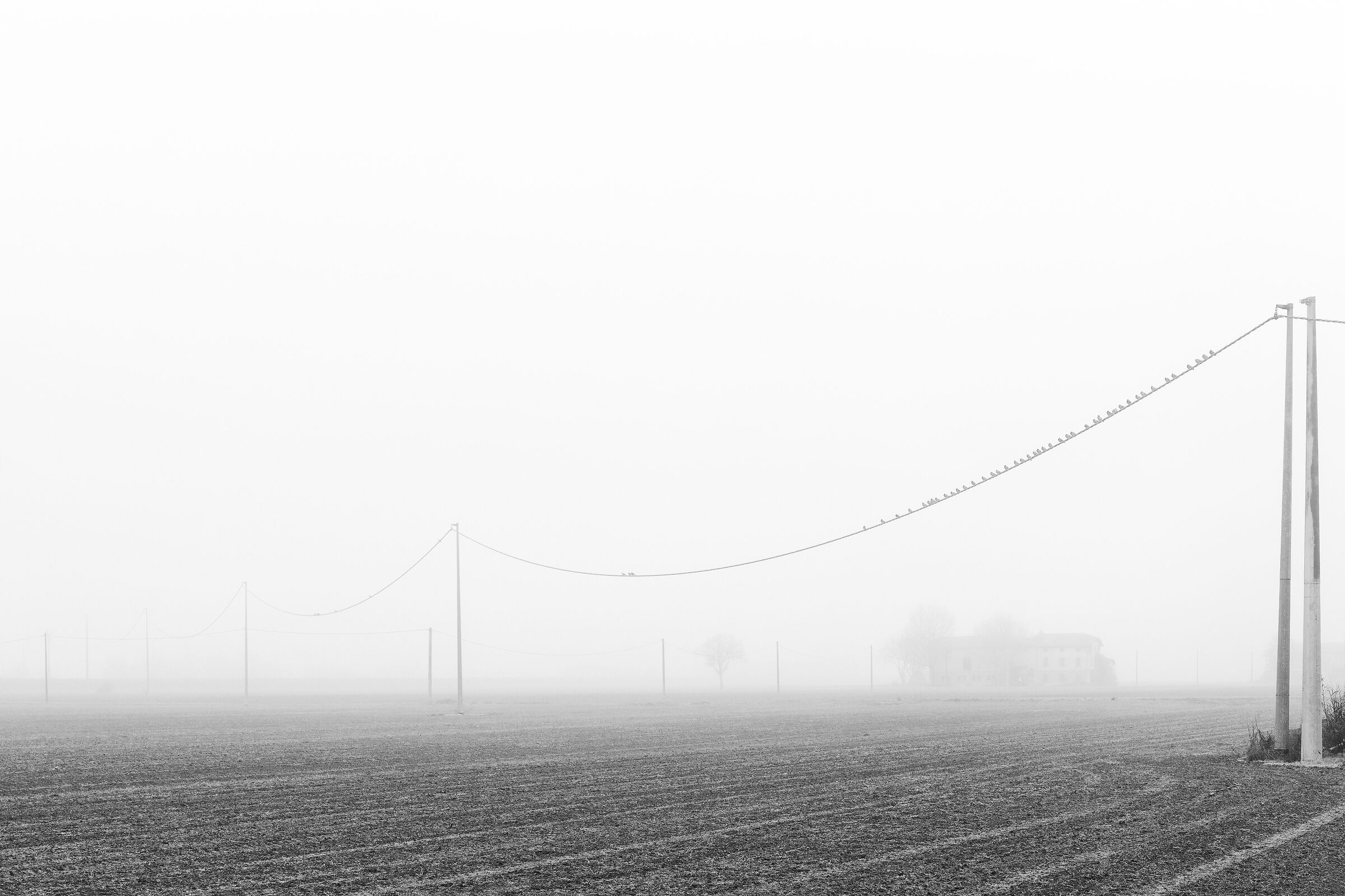 Le nebbie della Pianura Padana