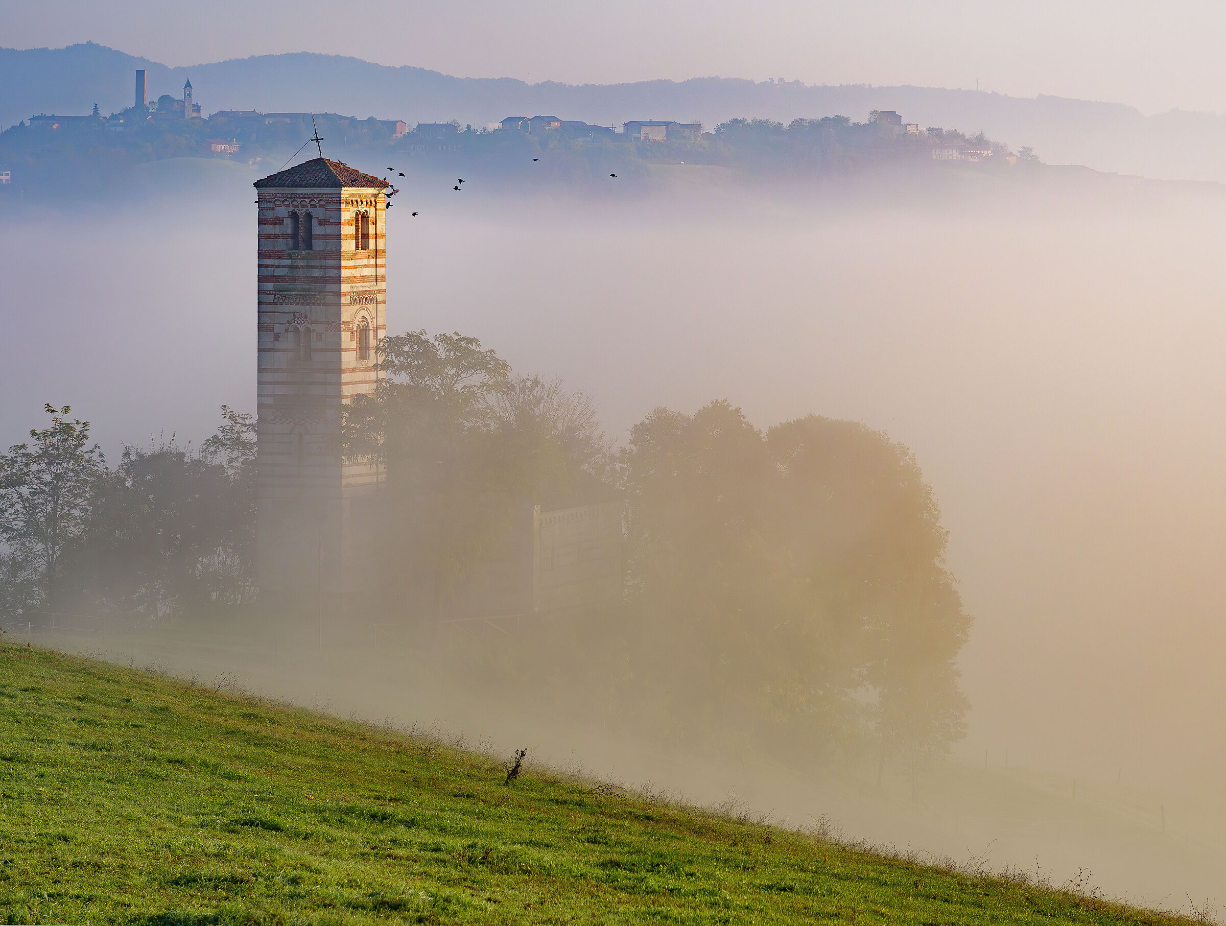 Il campanile e le taccole.