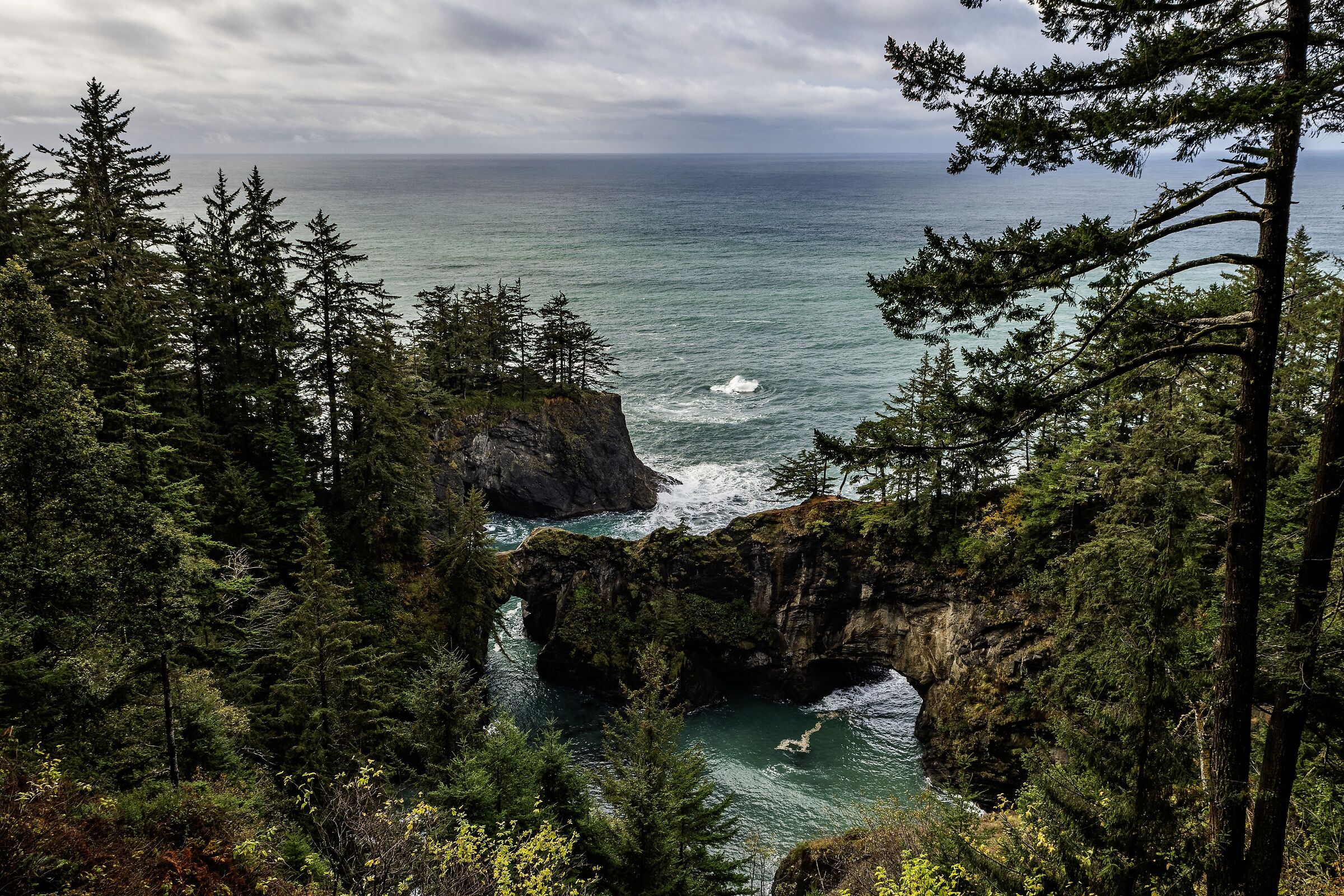 Oregon coast