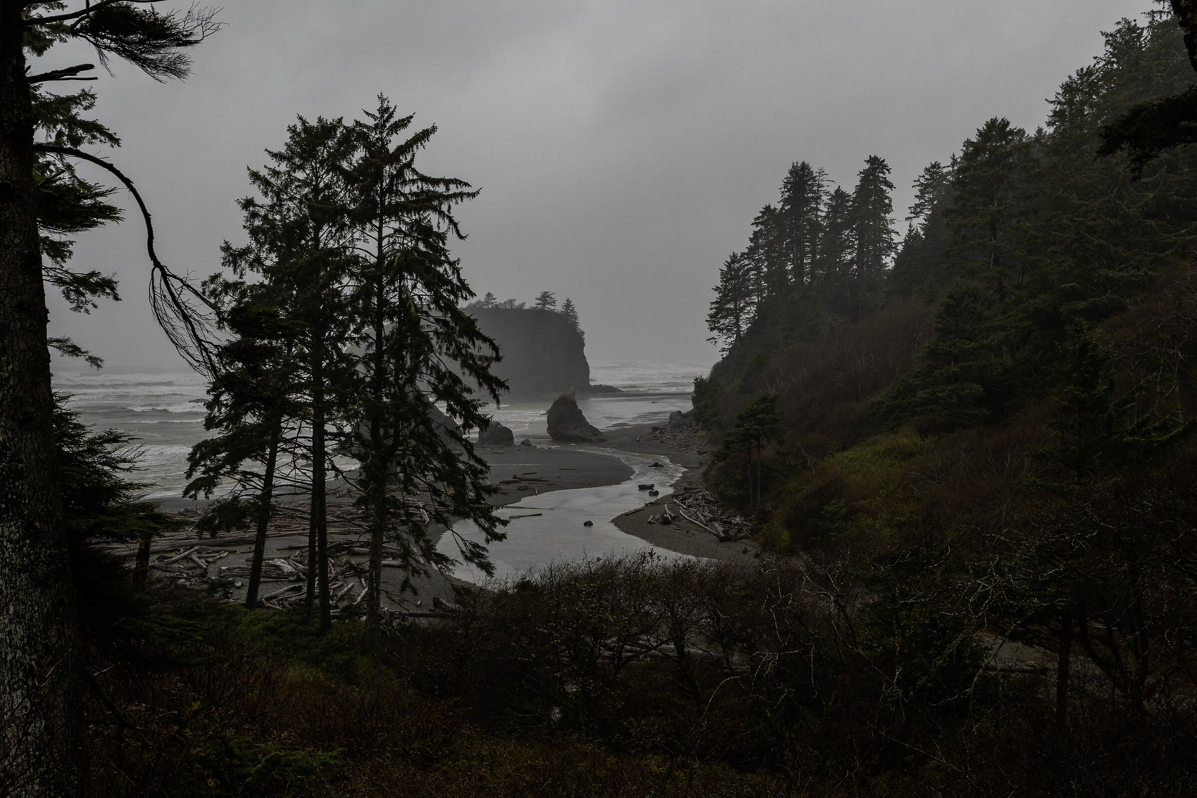 Ruby beach  Olympic NP