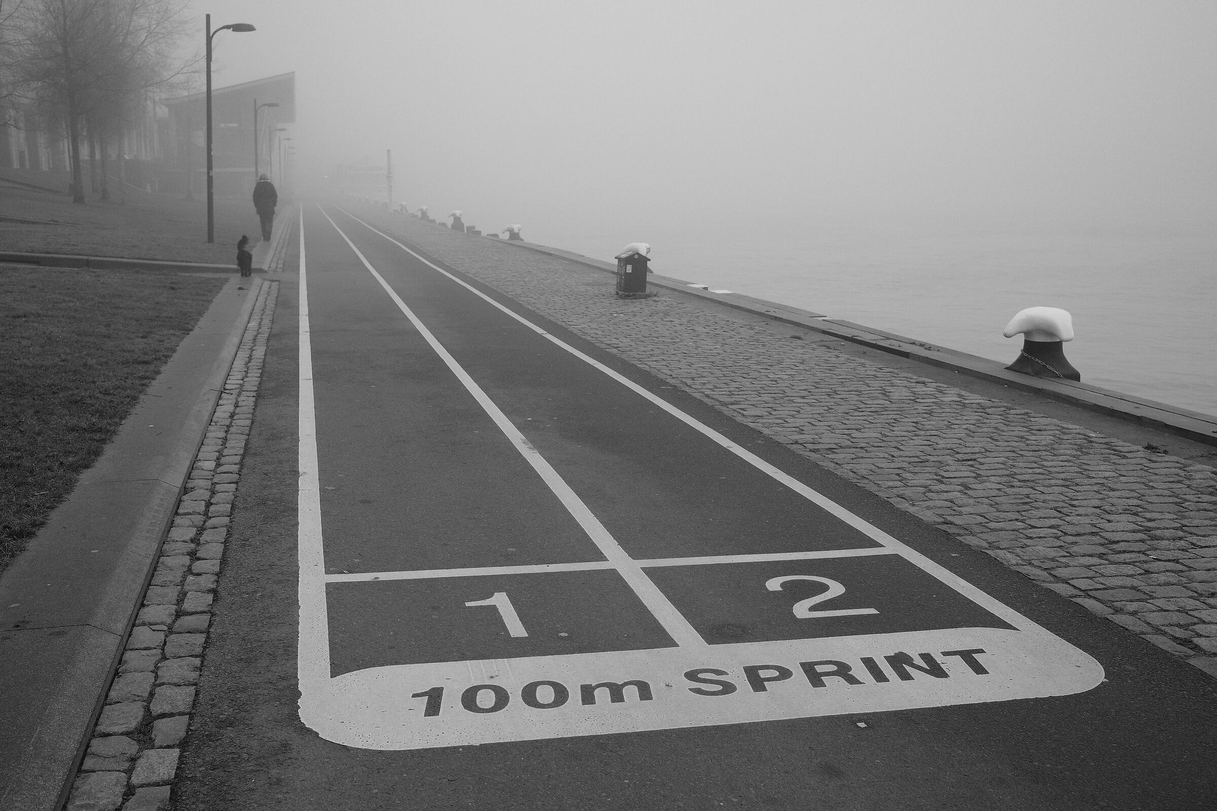 Lungo fiume con nebbia Boompjeskadev