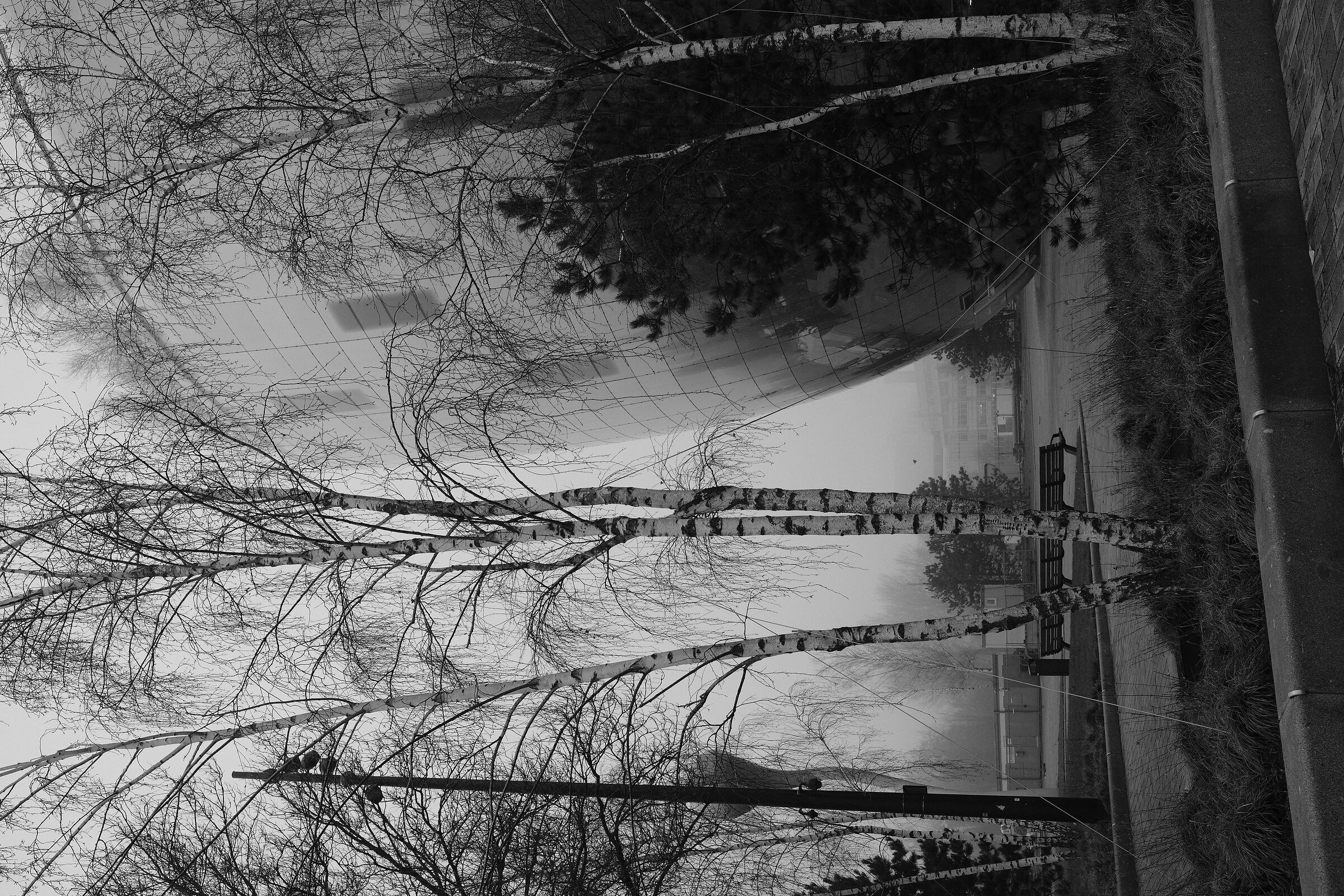 The reflections of the Depot Boijmans Van Beuningen