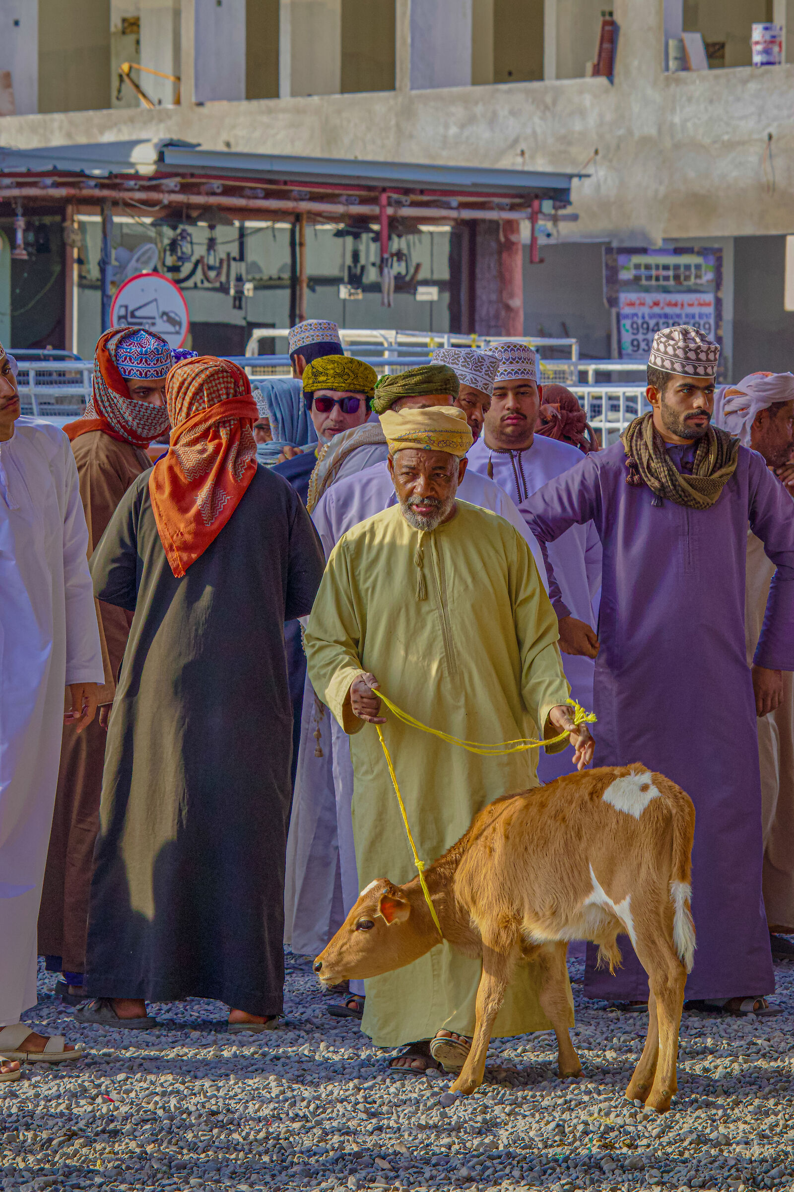 Mercato del Bestiame nizwa