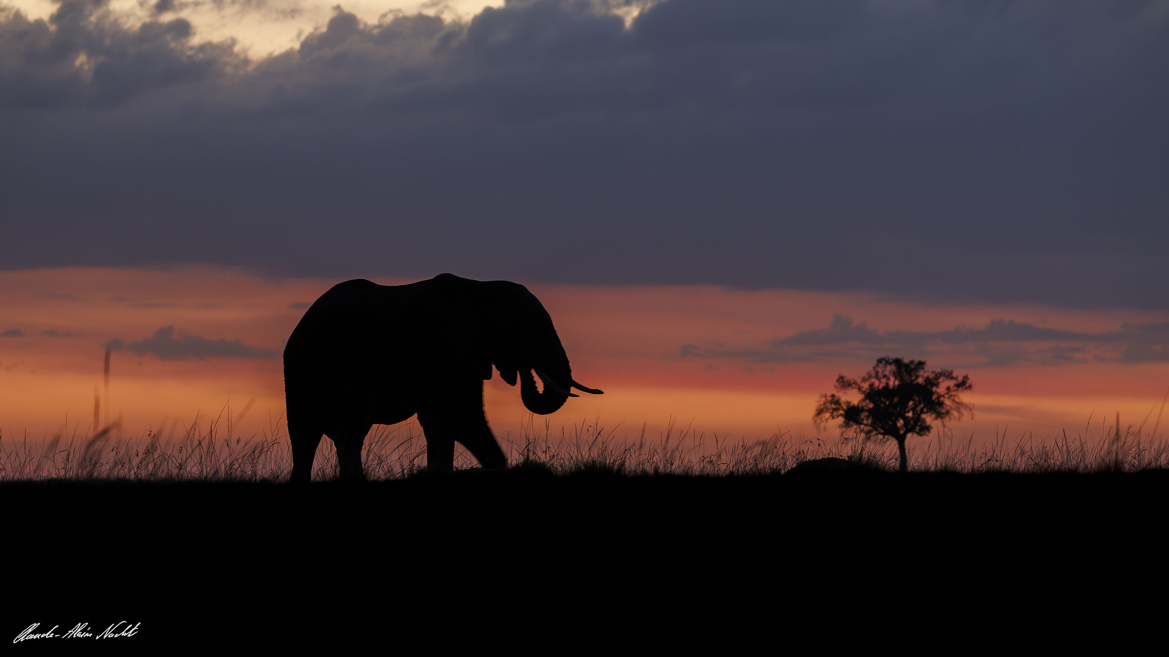 Dawn at the Masai Mara