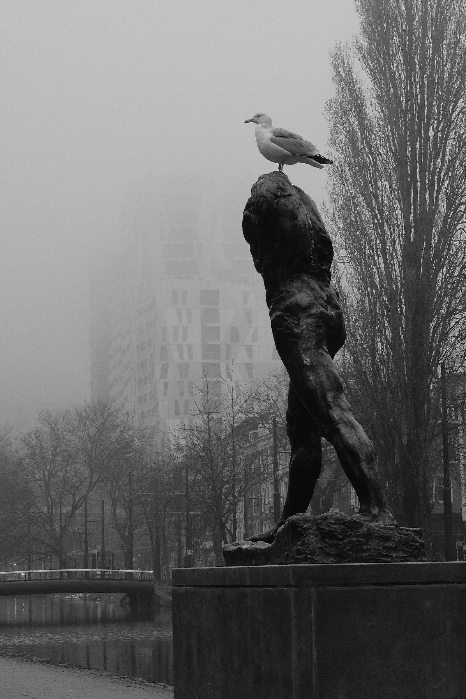 L'homme qui Marche Auguste Rodin Westersingel Rotterdam