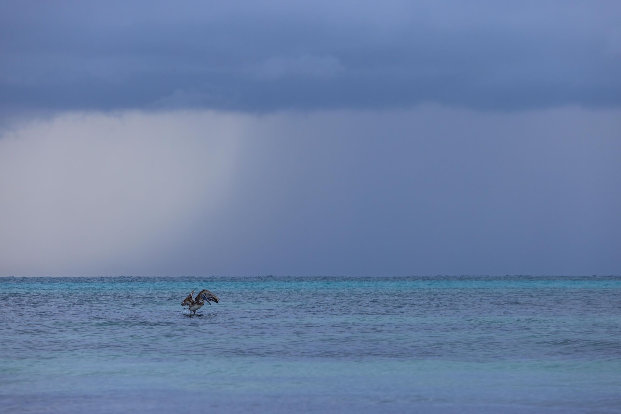 Scappando prima del temporale