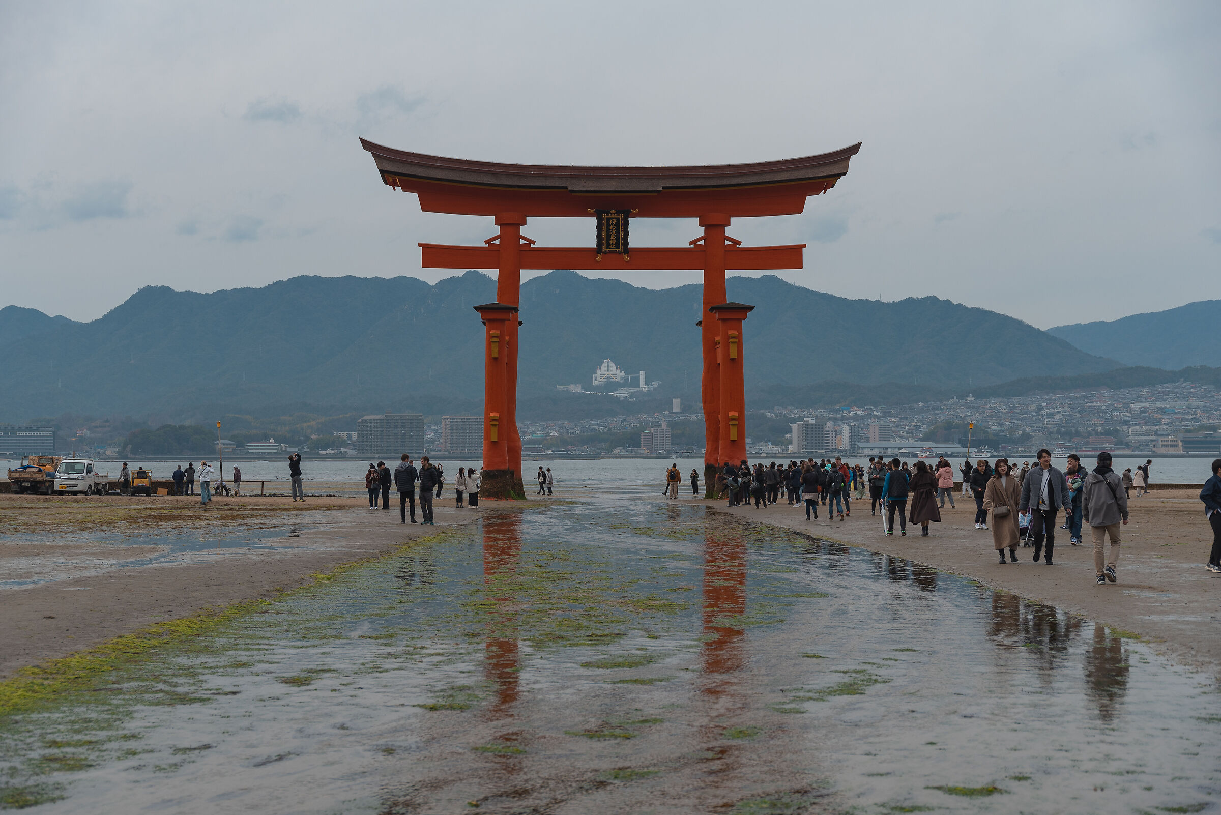 Miyajima Itsukushima Shrine with low tide