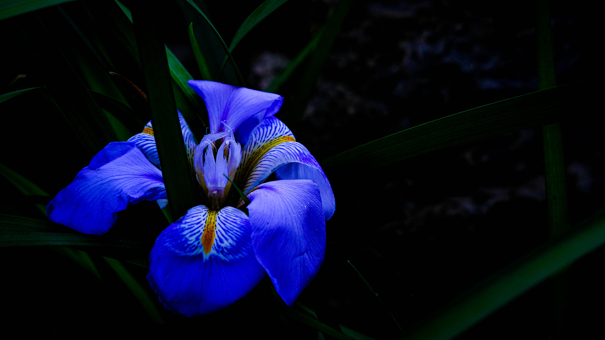 Luminescenza.