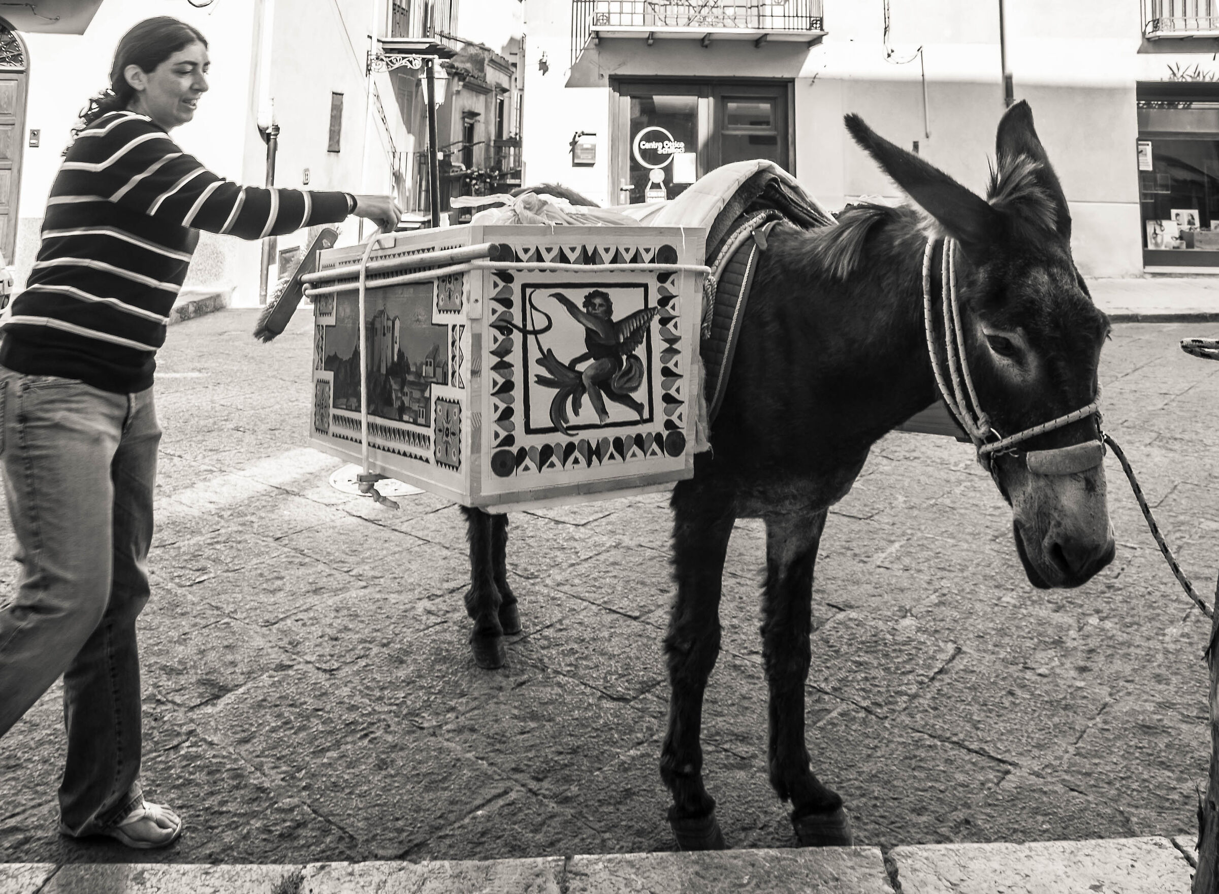 The donkey of Castelbuono 2