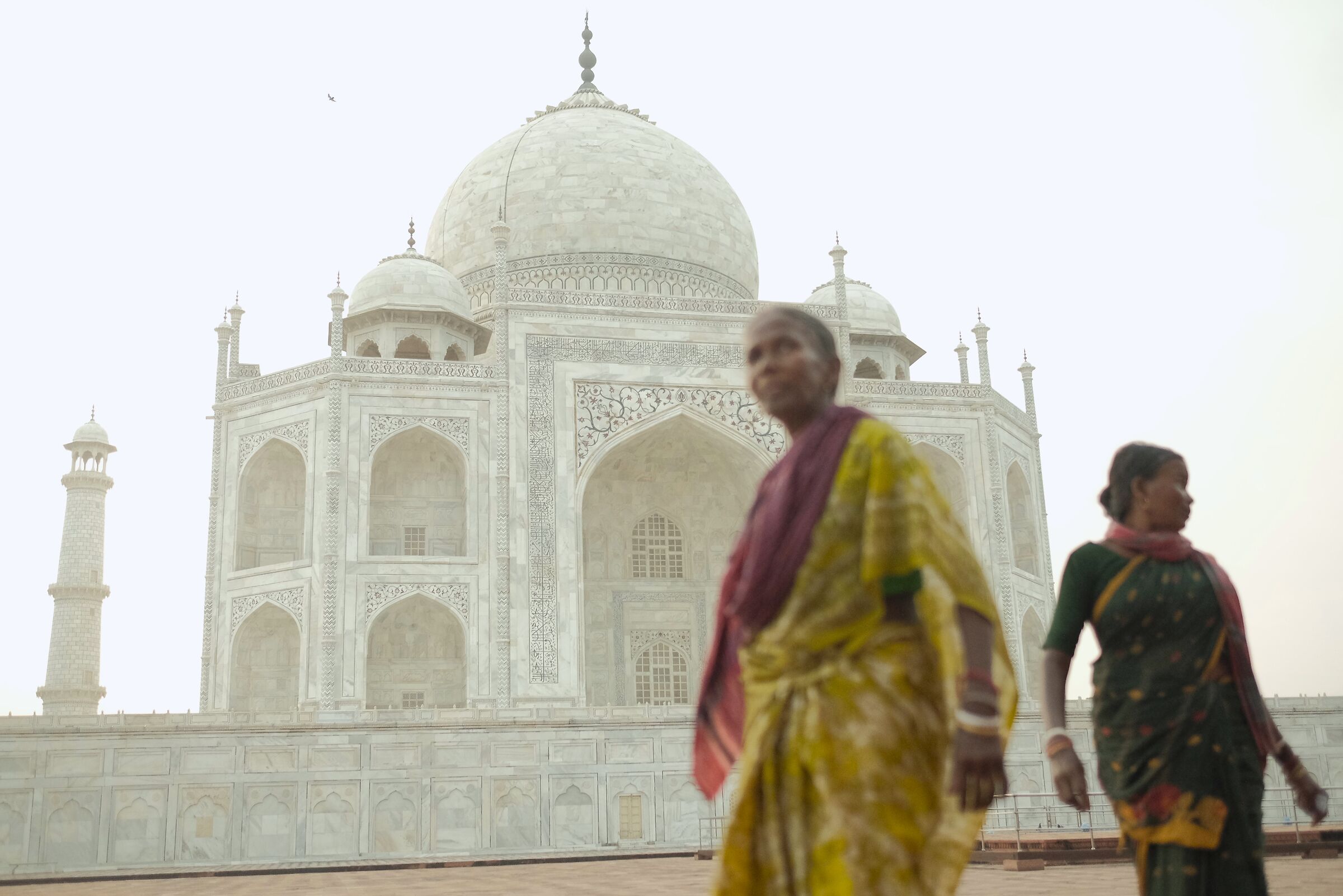 Mattina al Taj Mahal