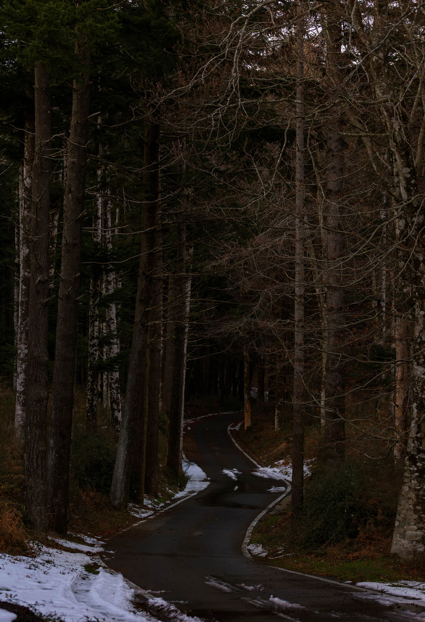 Mountain road