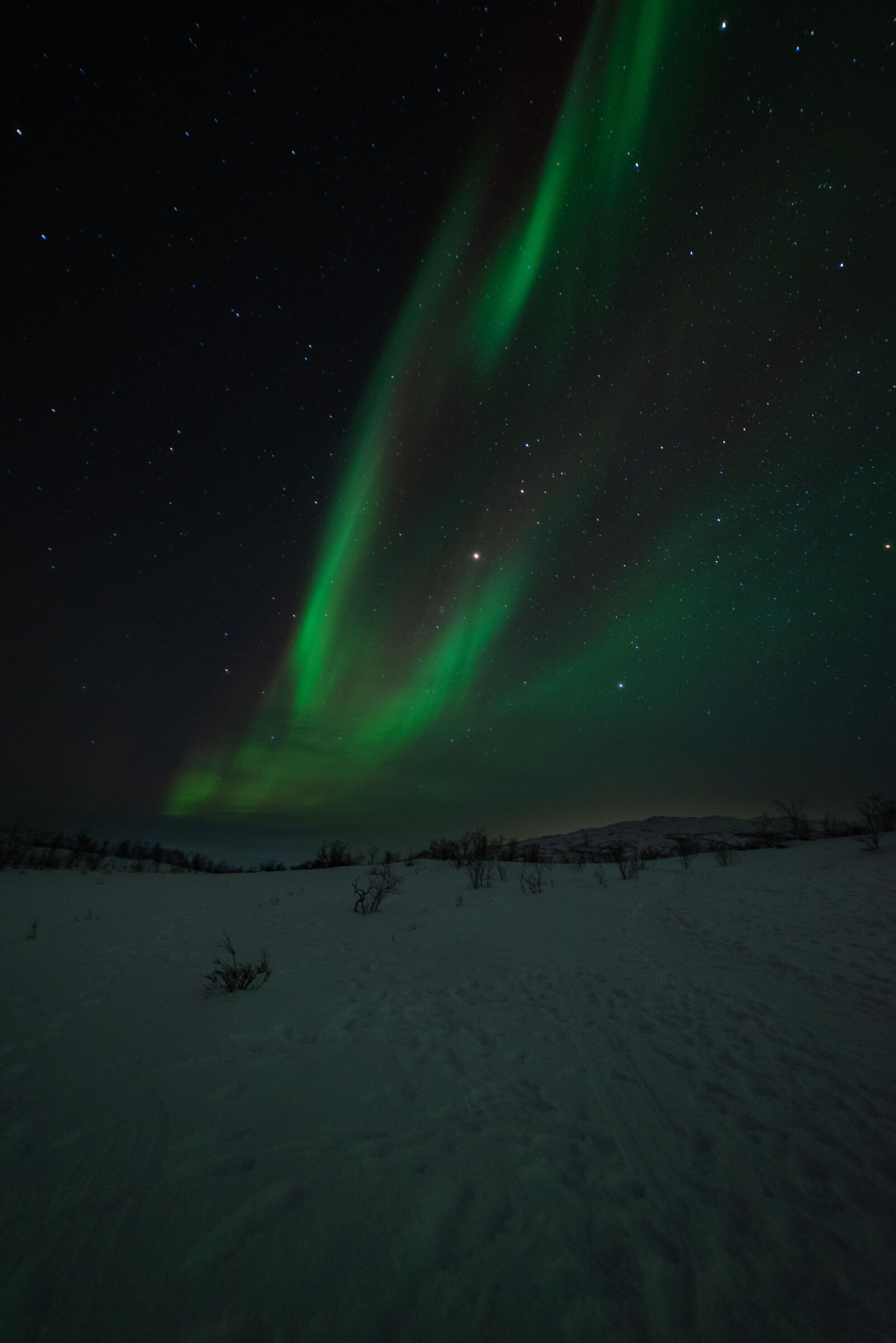 Northern lights - Abisko