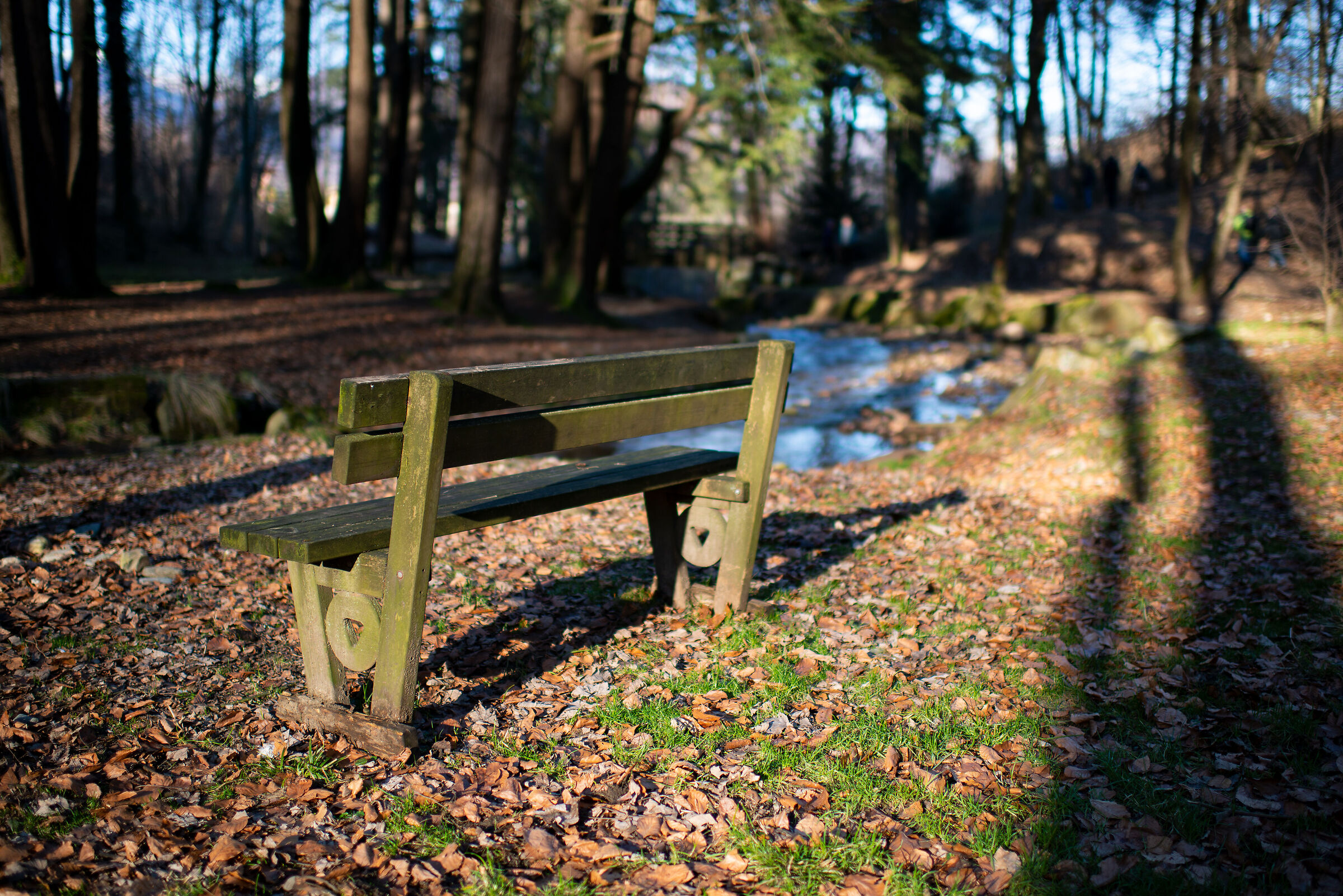 Single... in the woods