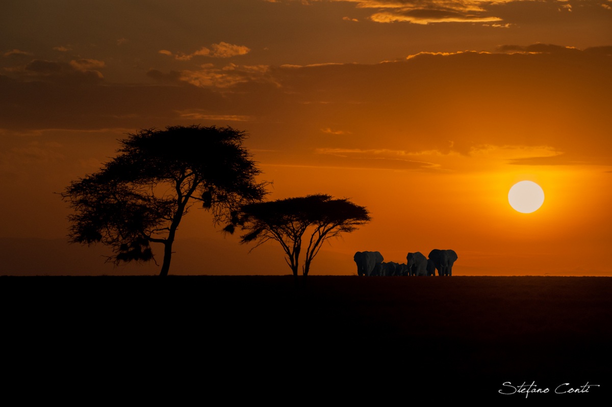 Alba nella riserva di Ndutu - Tanzania