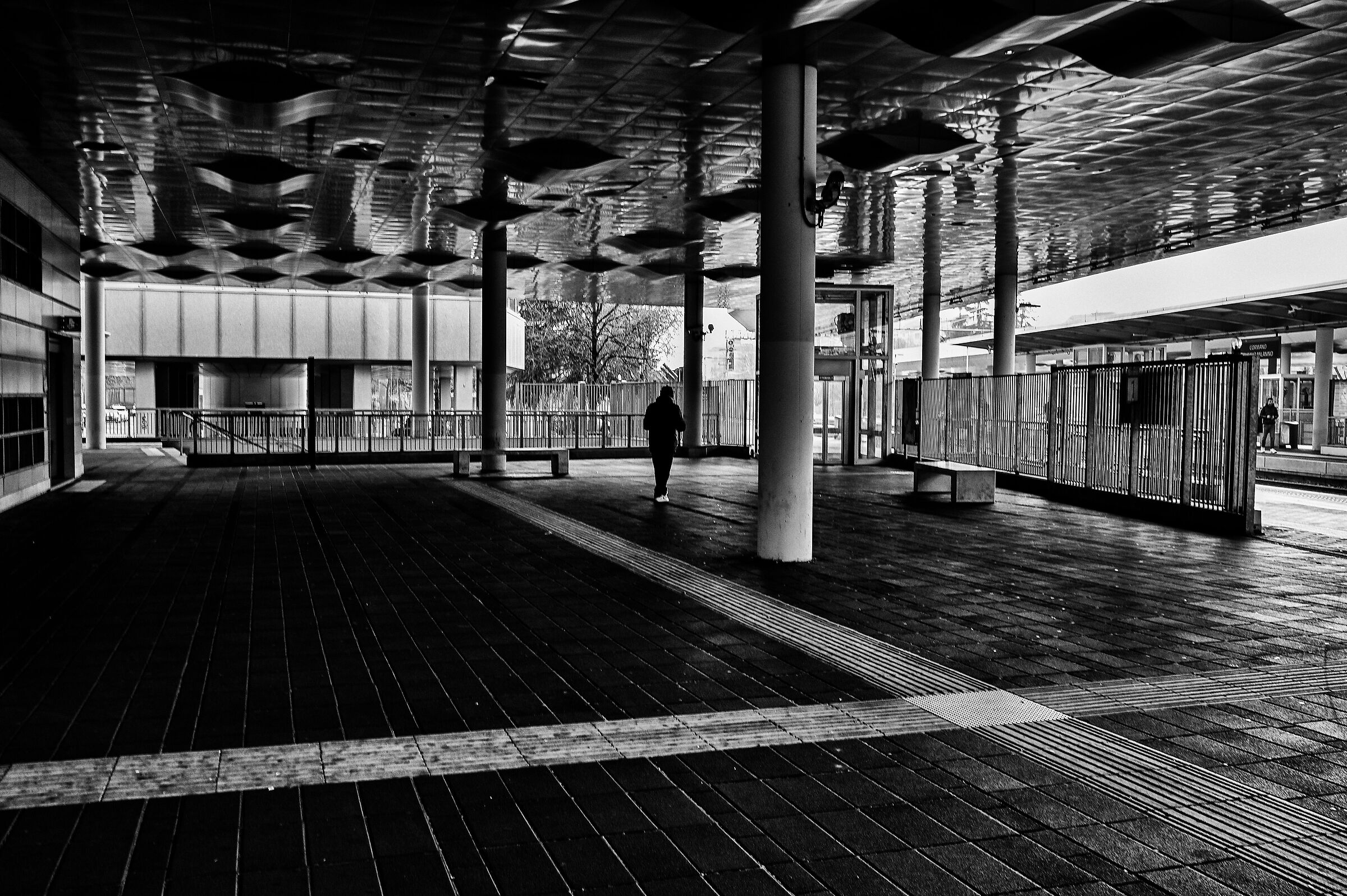 Untitled Photo