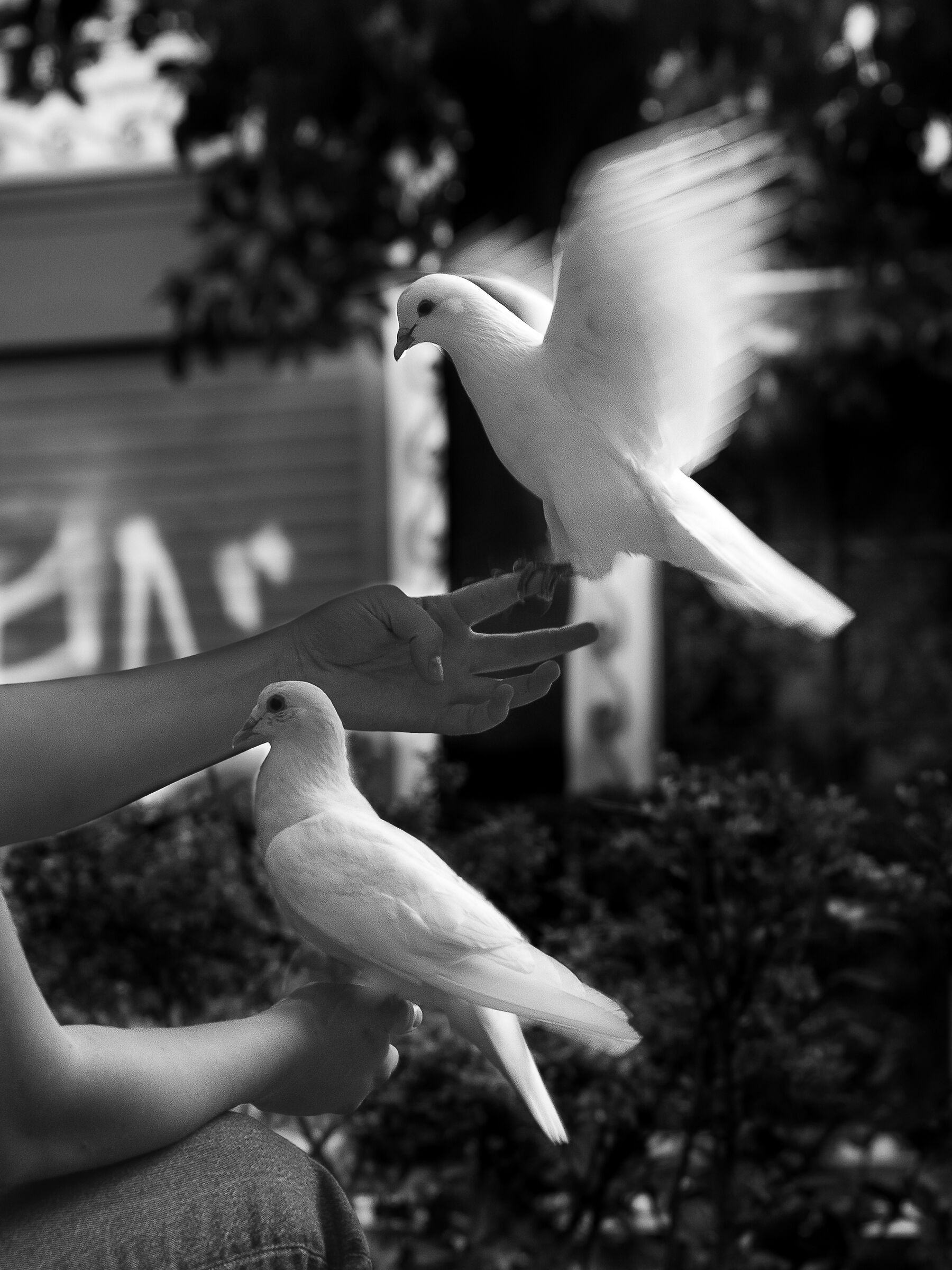 Untitled Photo