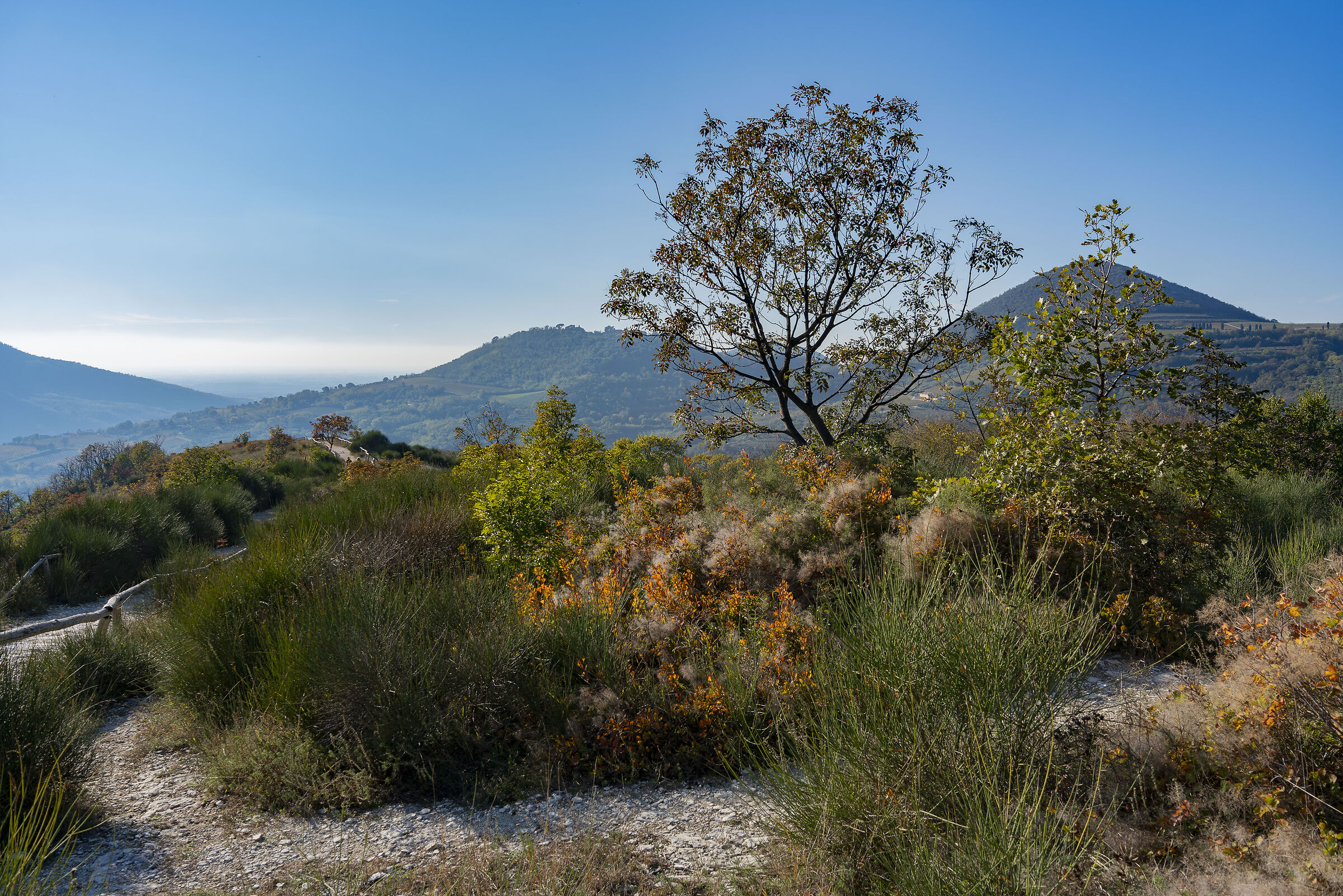 Euganean Hills
