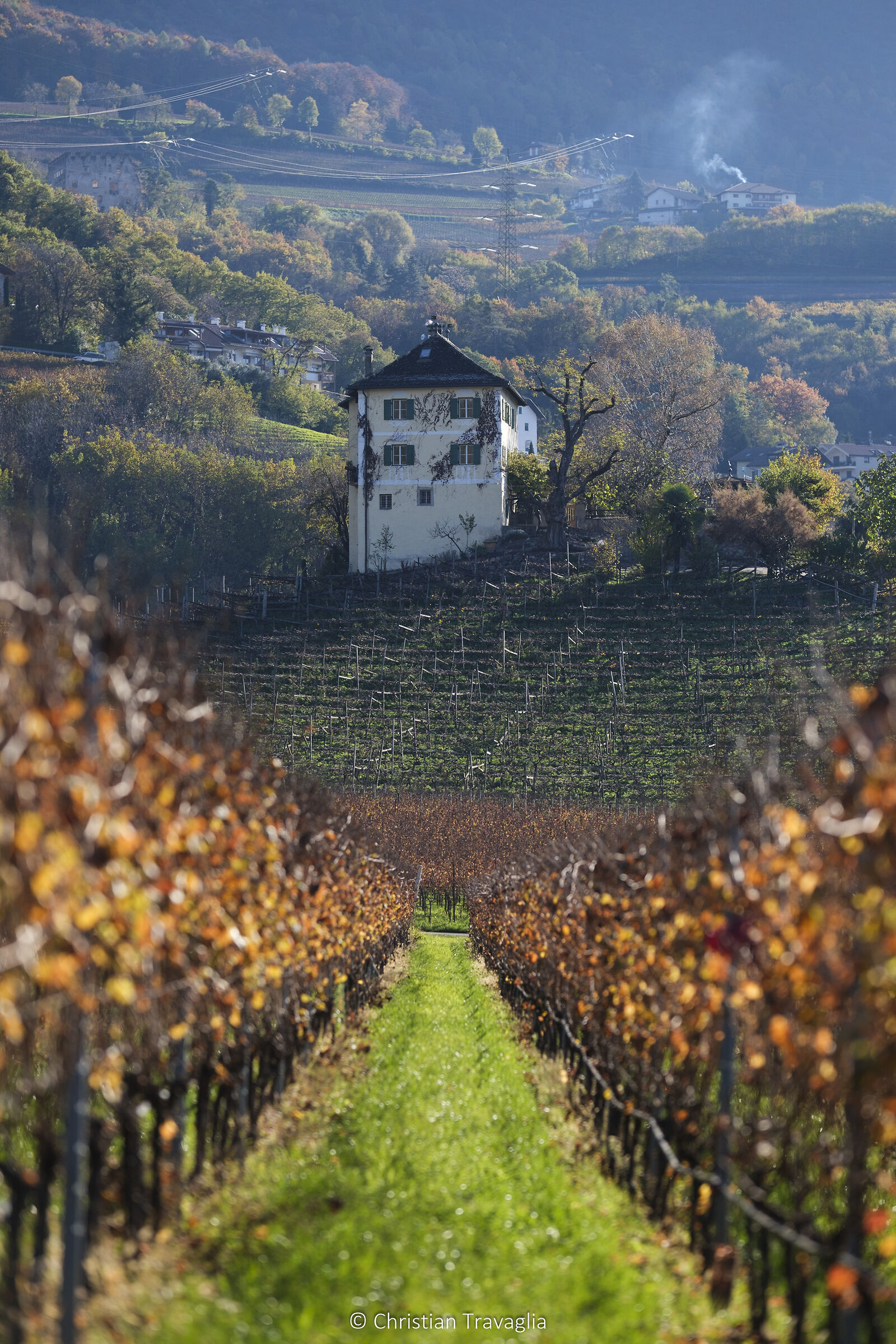 Vigne, Castel Feder - Inverno 2024
