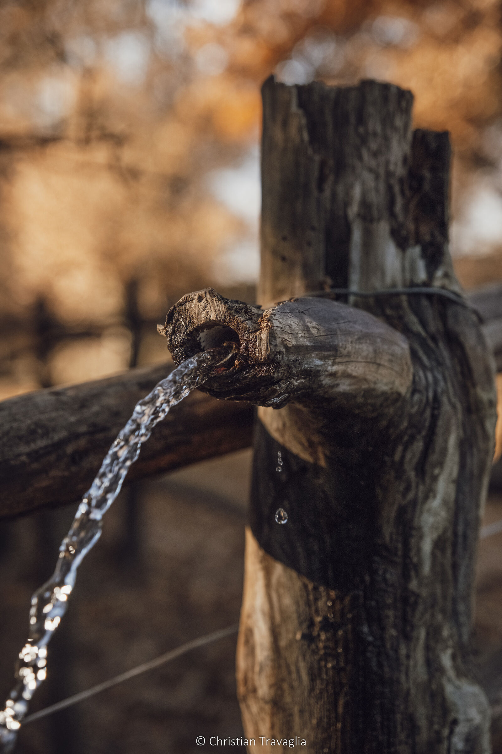 Vita, Castel Feder - Inverno 2024