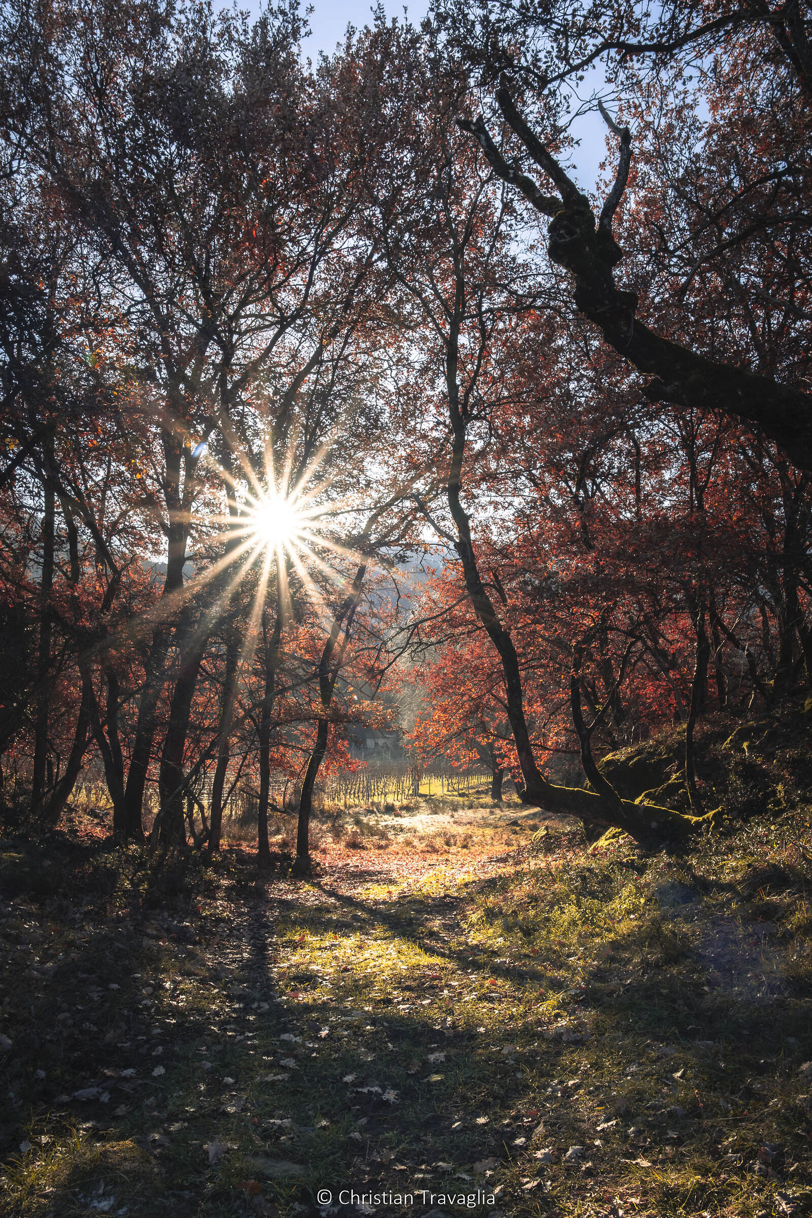 fantasy, Castel Feder - Inverno 2024