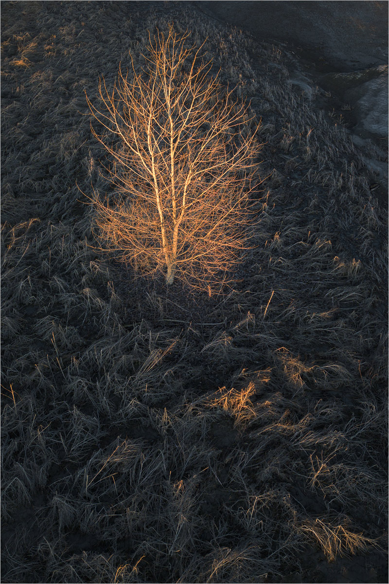 Still Standing
