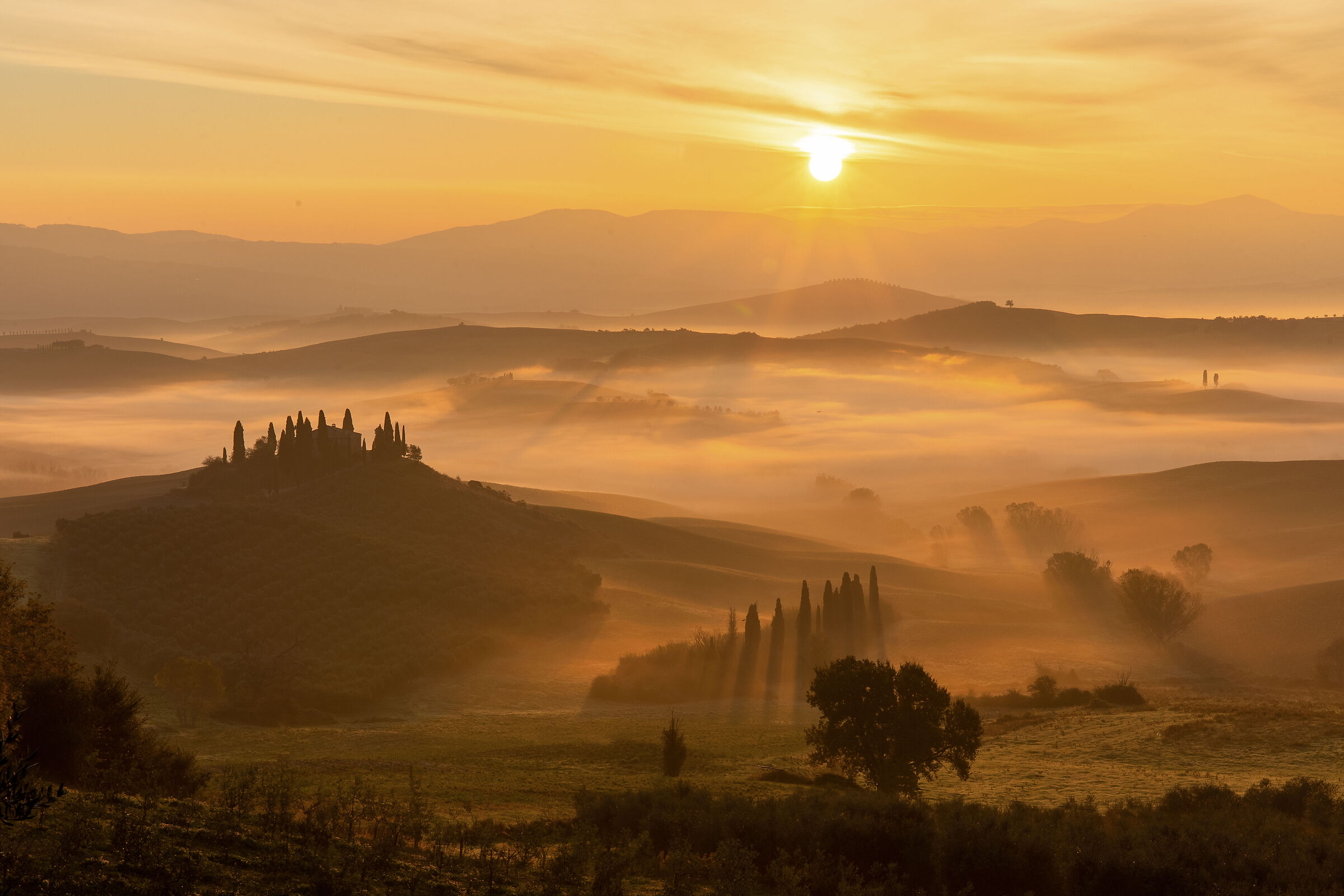 Podere Belvedere . San Quirico d'Orcia