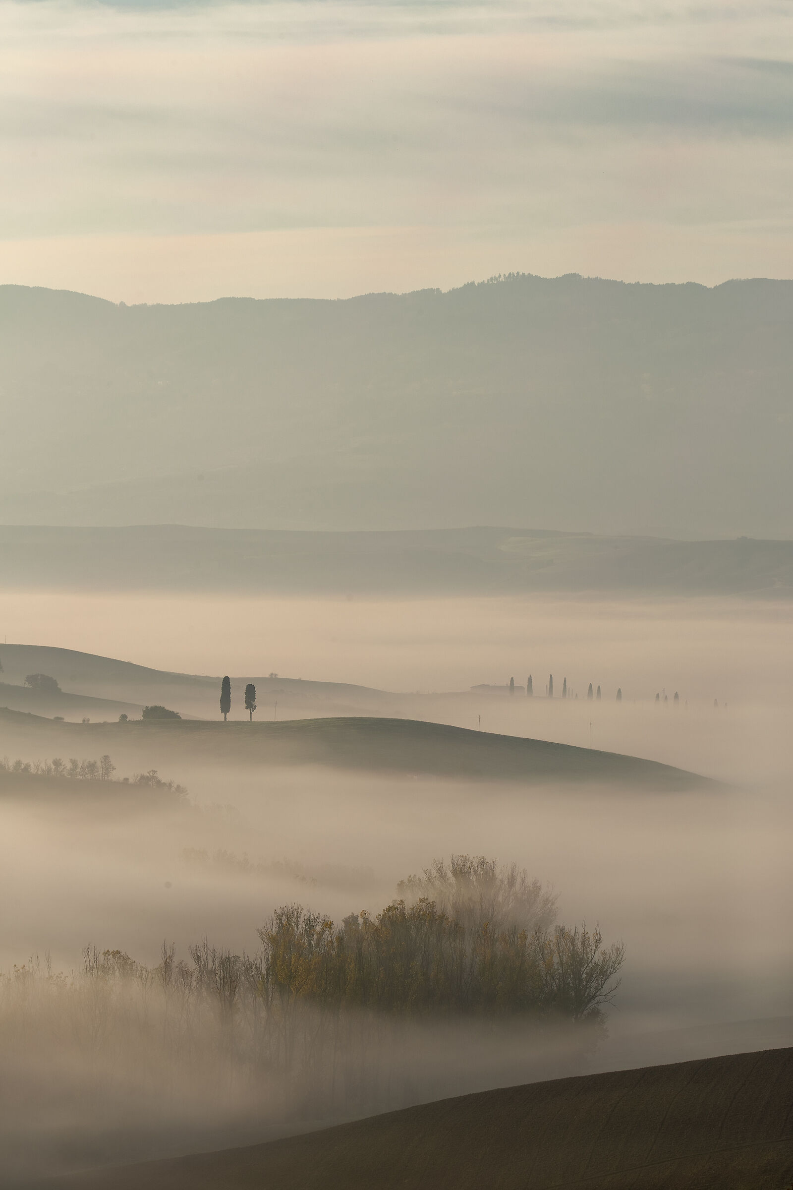 Fog in Val'Orcia