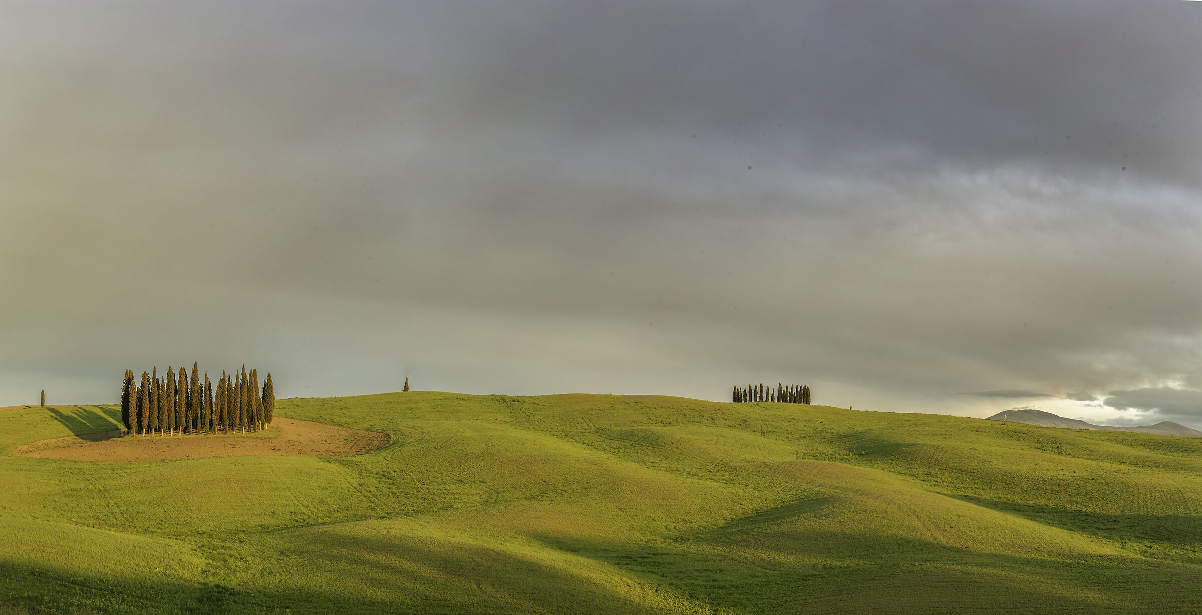Cypress