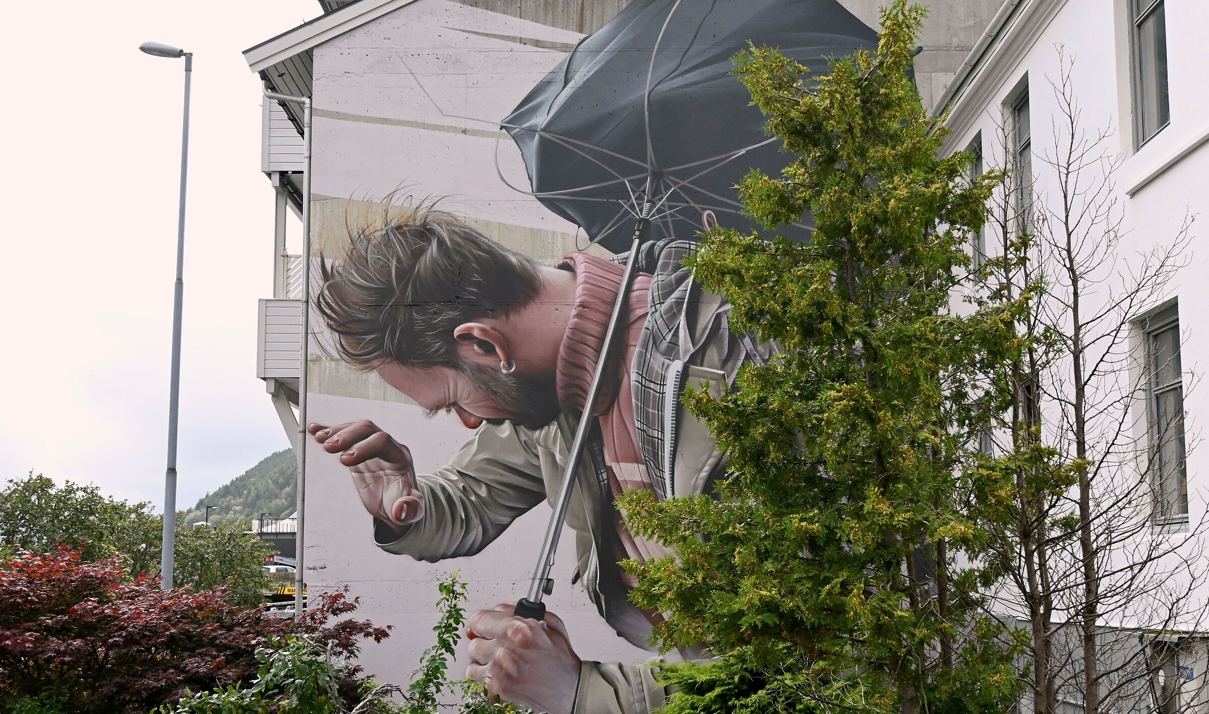 Maloy Street Art - Curator Tone Andal