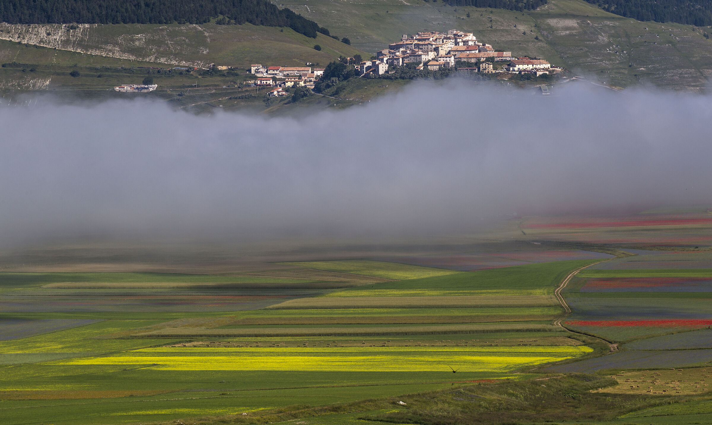 Castelluccio di Norcia