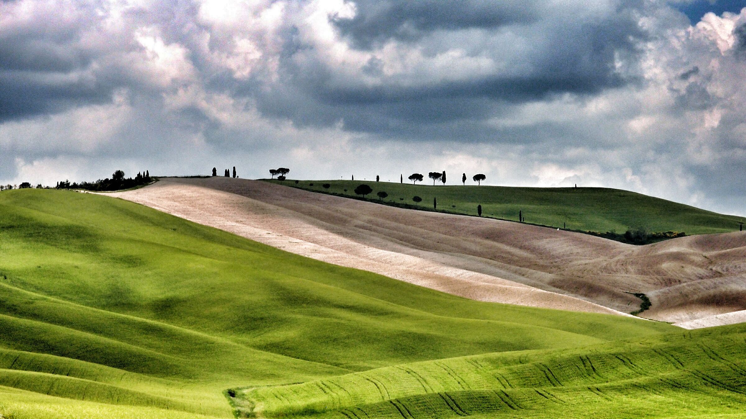 Colline senesi