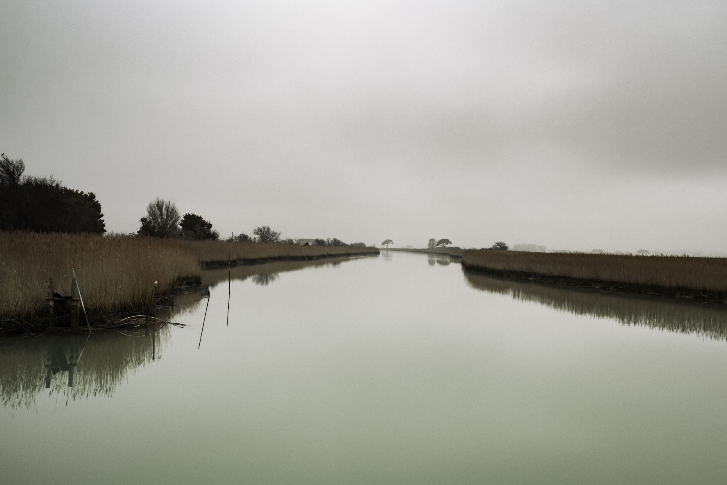 canale colori
