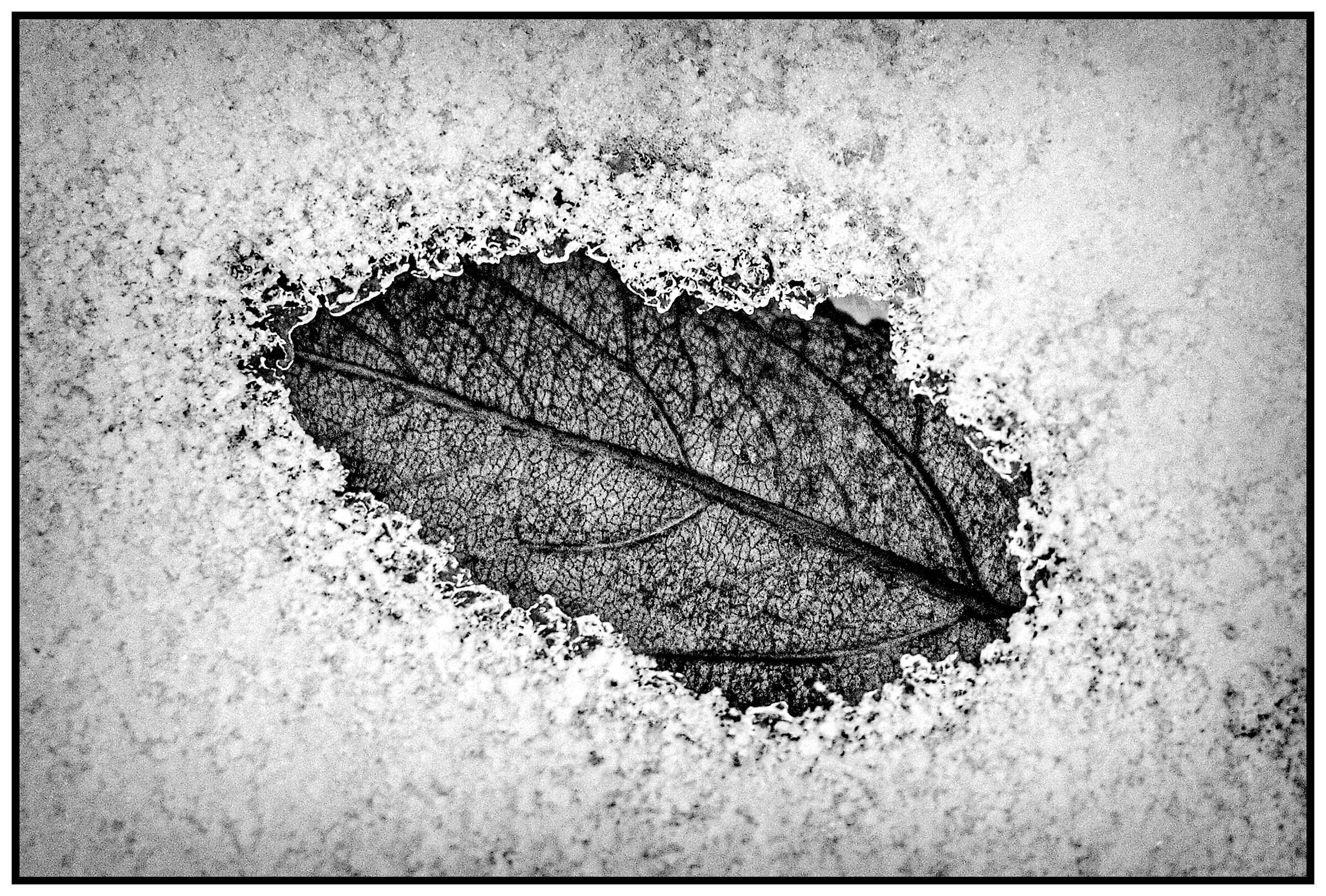 bianco e nero