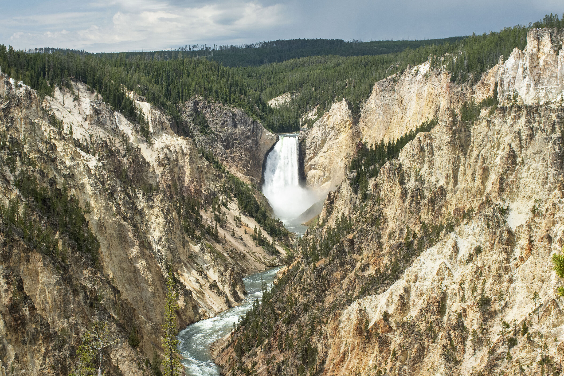Yellowstone