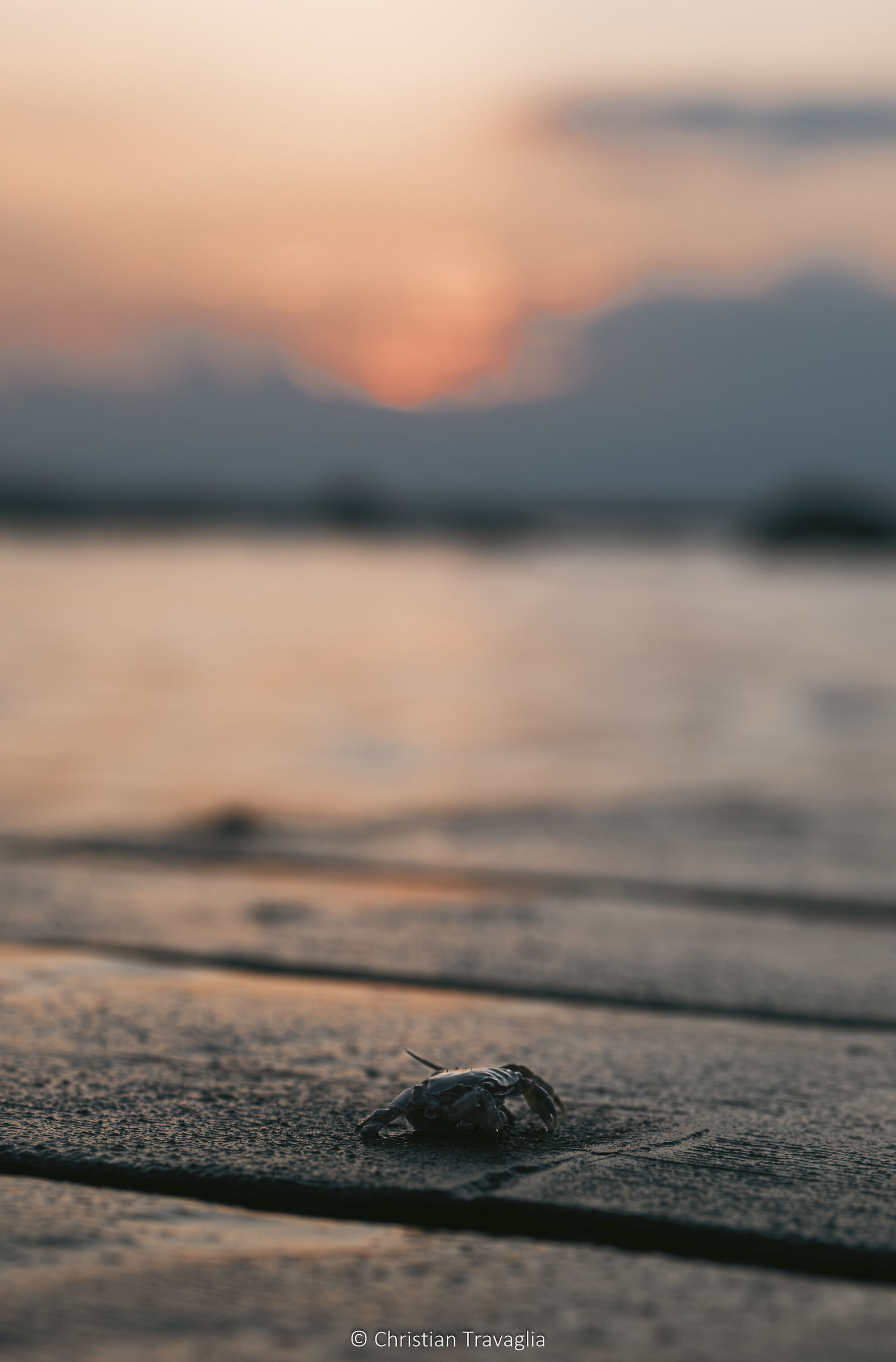 Tutti si godono il tramonto - Abruzzo 2023
