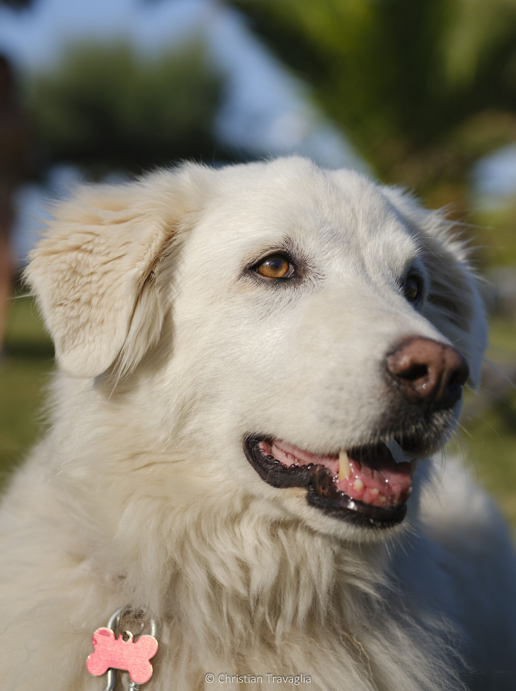 Kiira - Abruzzo 2023