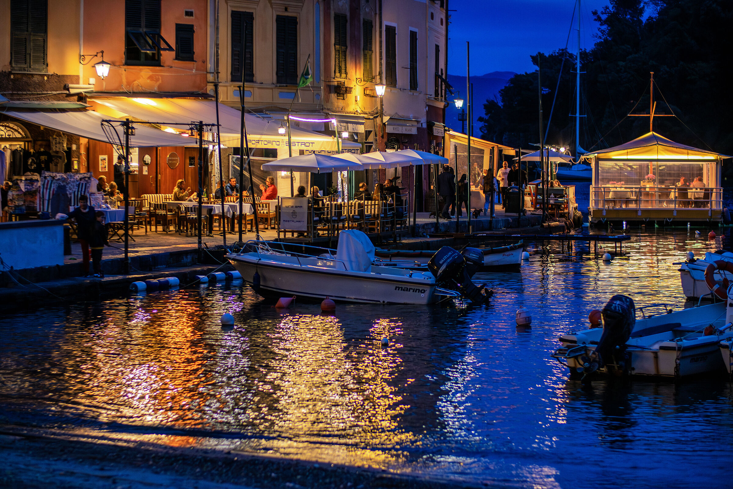 Portofino by night
