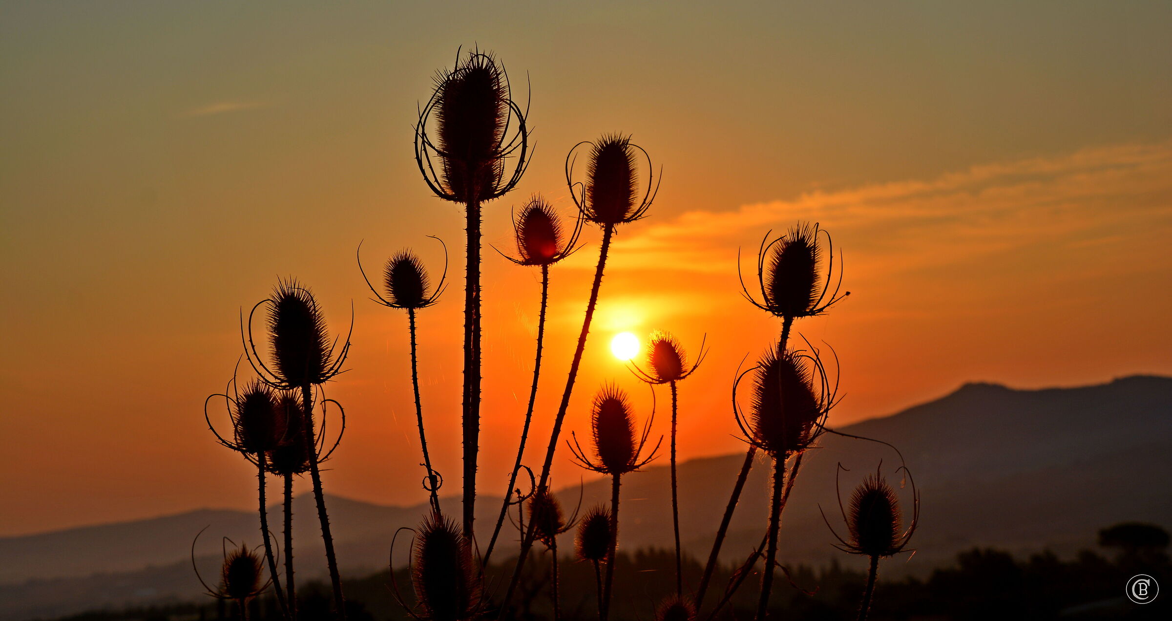 Sunset over the fields