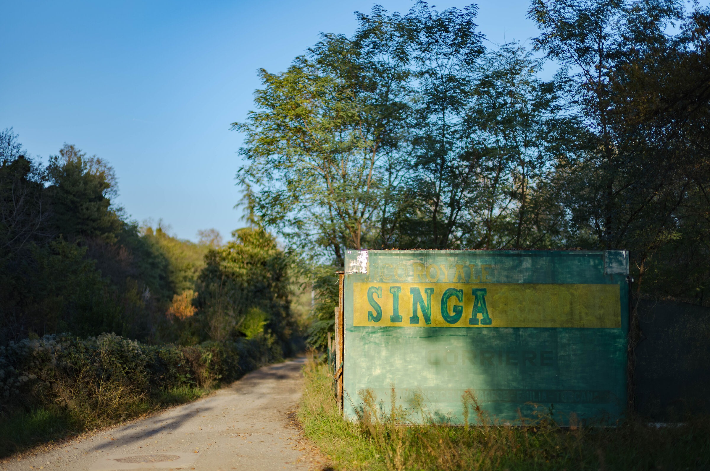 Singa