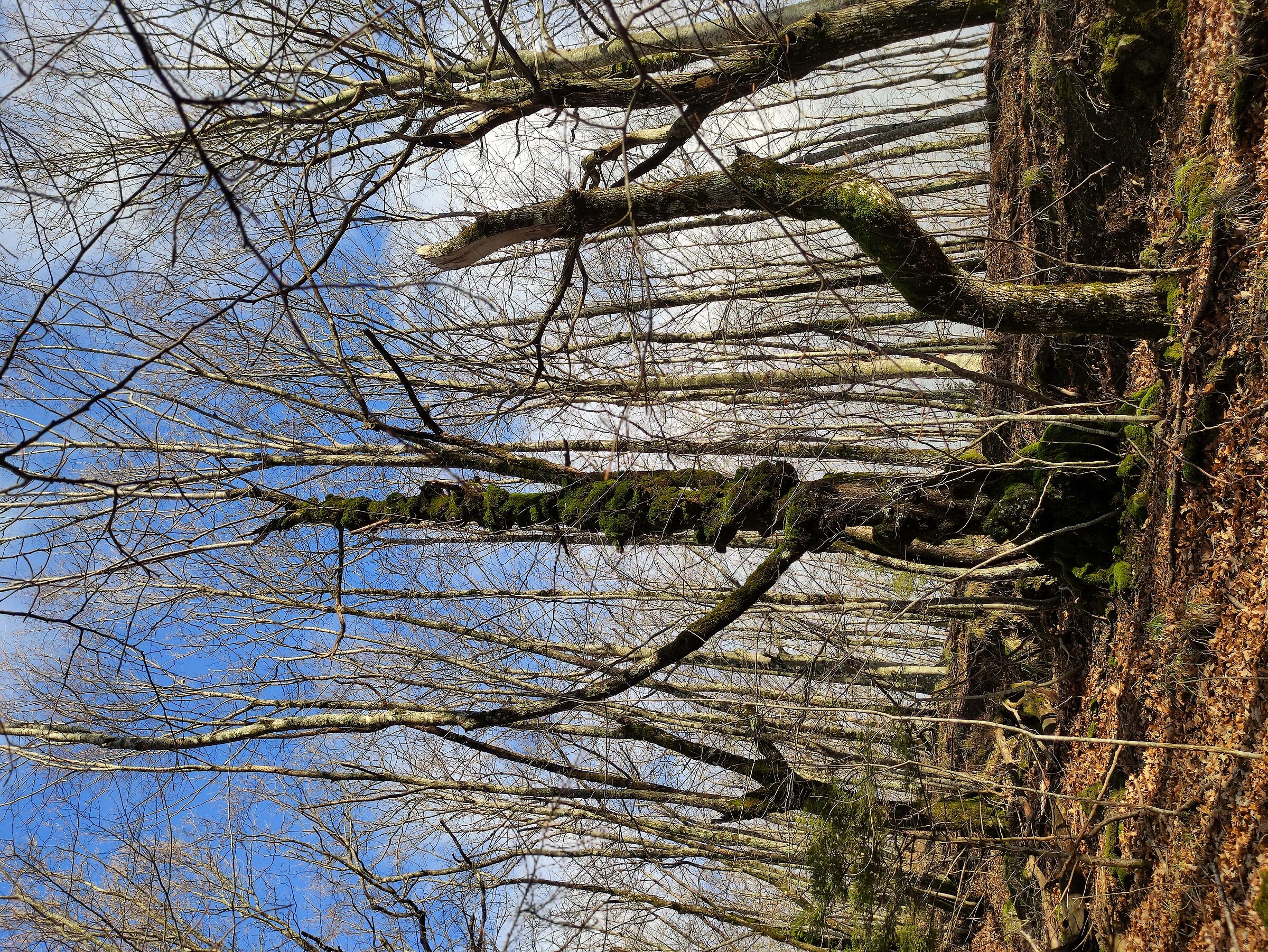 All the knots (come to a head)