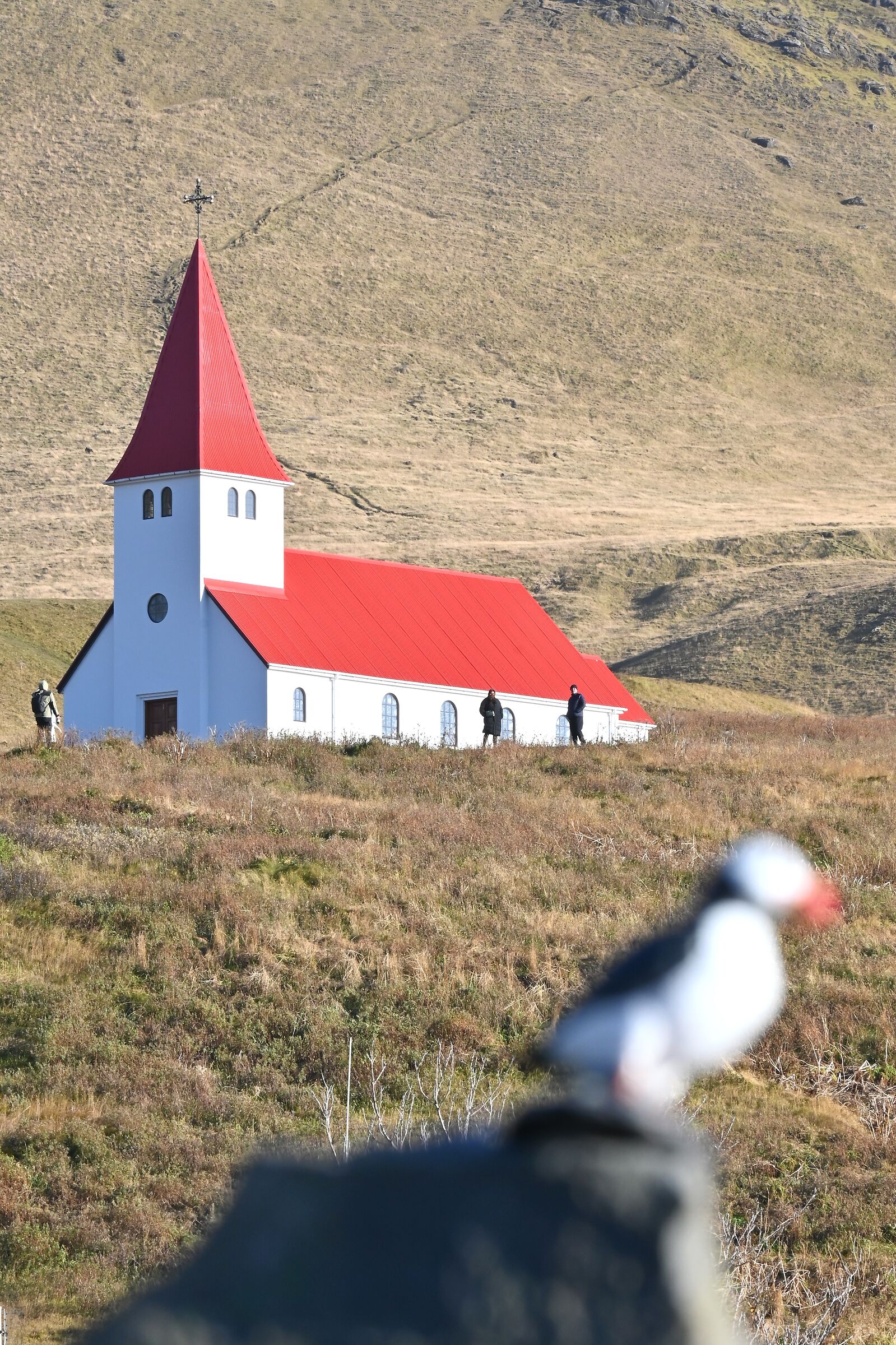 Vik