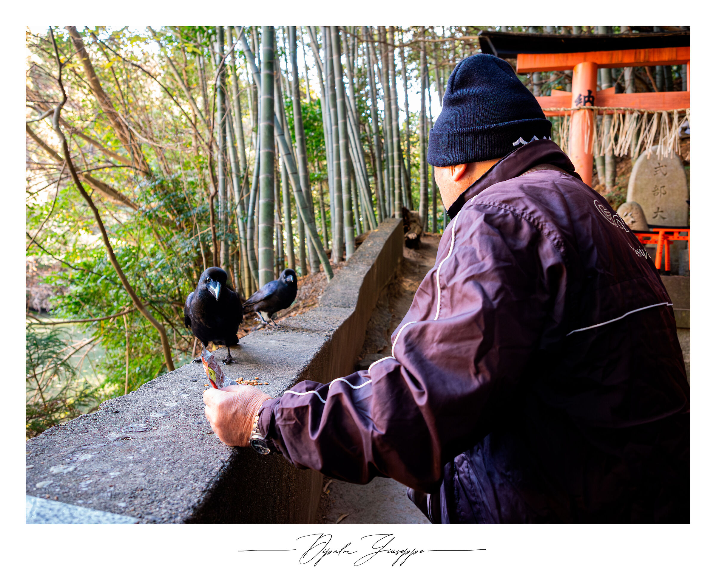 Crow ojisan