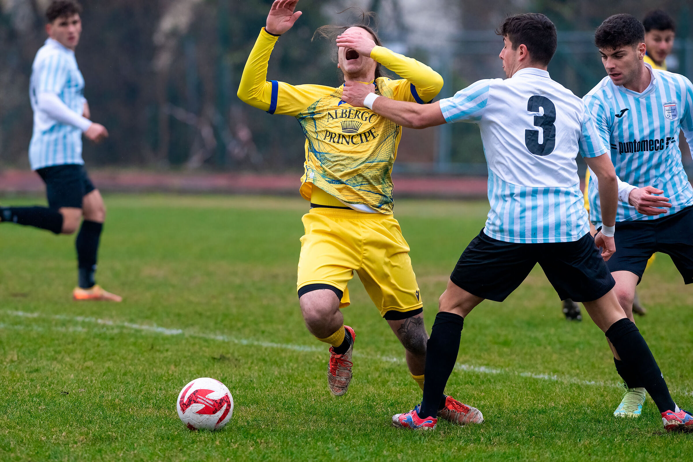 Where do you plan to go?