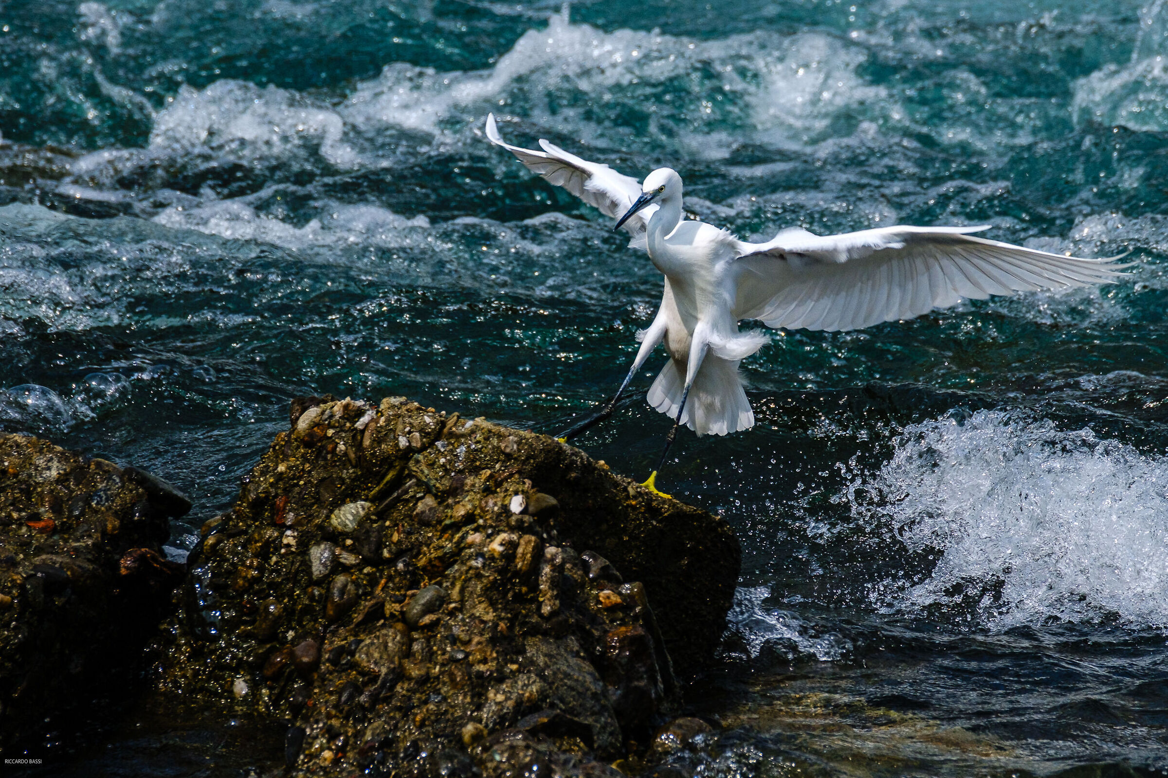 Landing