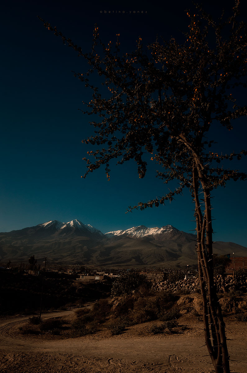 Chachani Arequipa