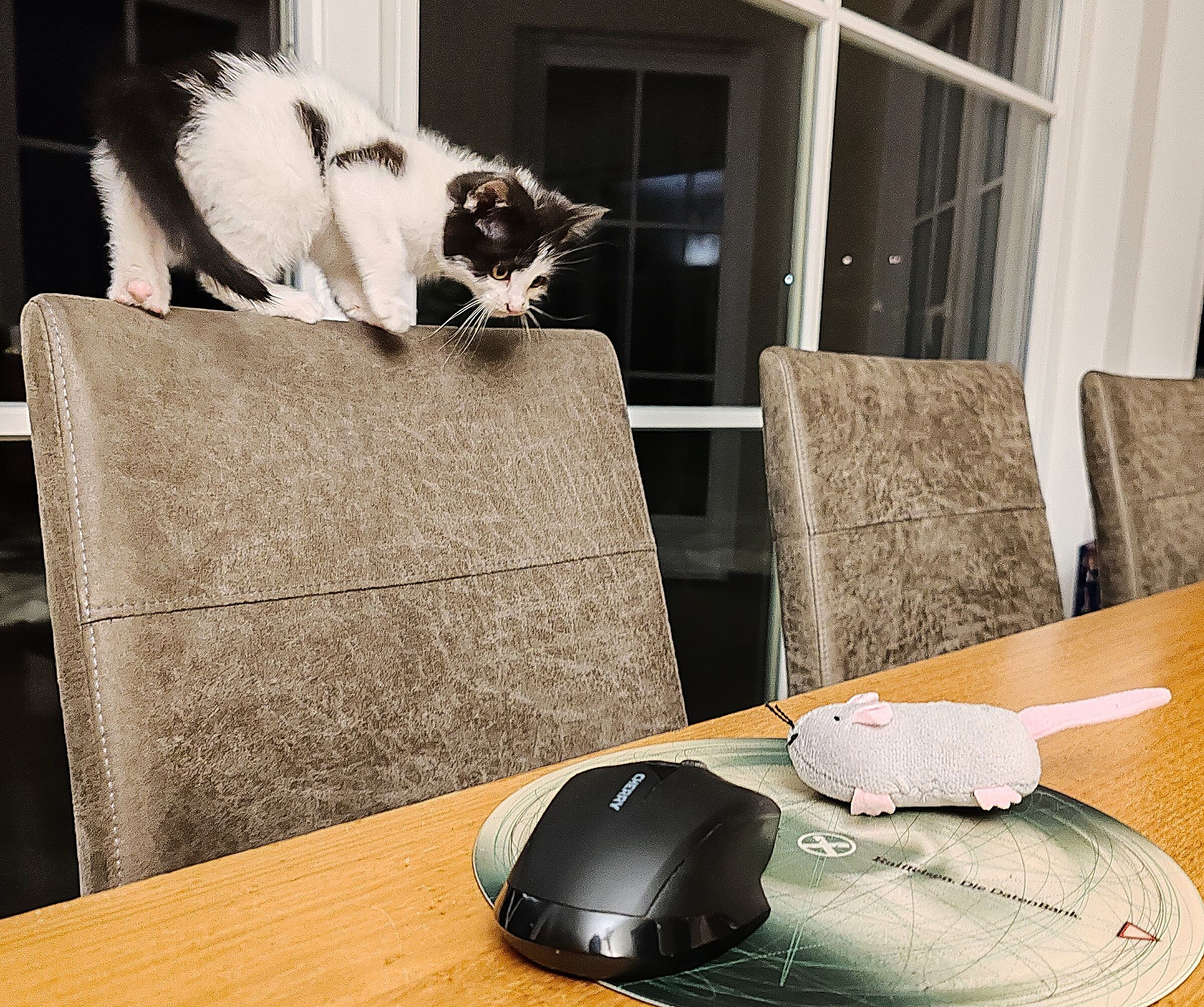 Oh oh I thought I saw one maus, no two maus.