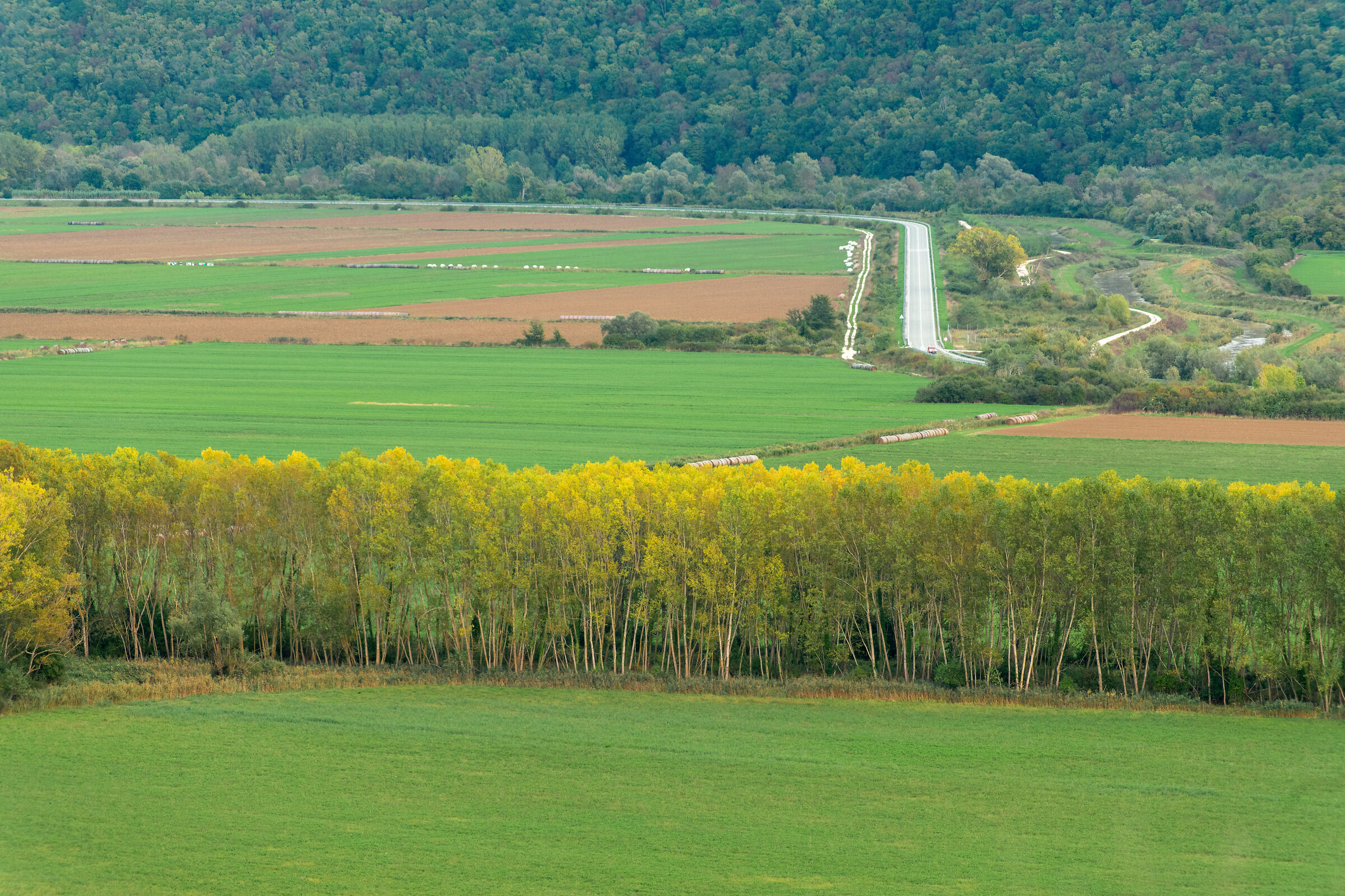 Mirna Valley