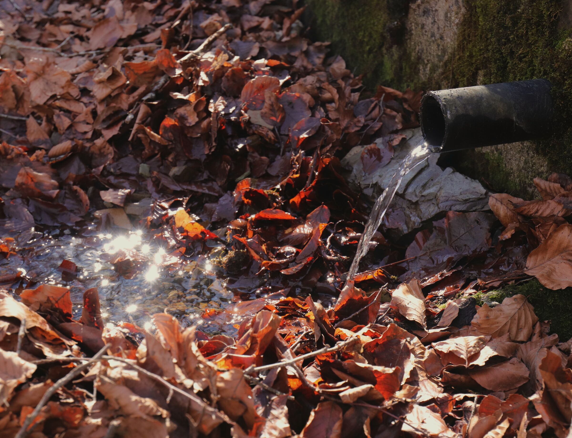 Perennial natural spring