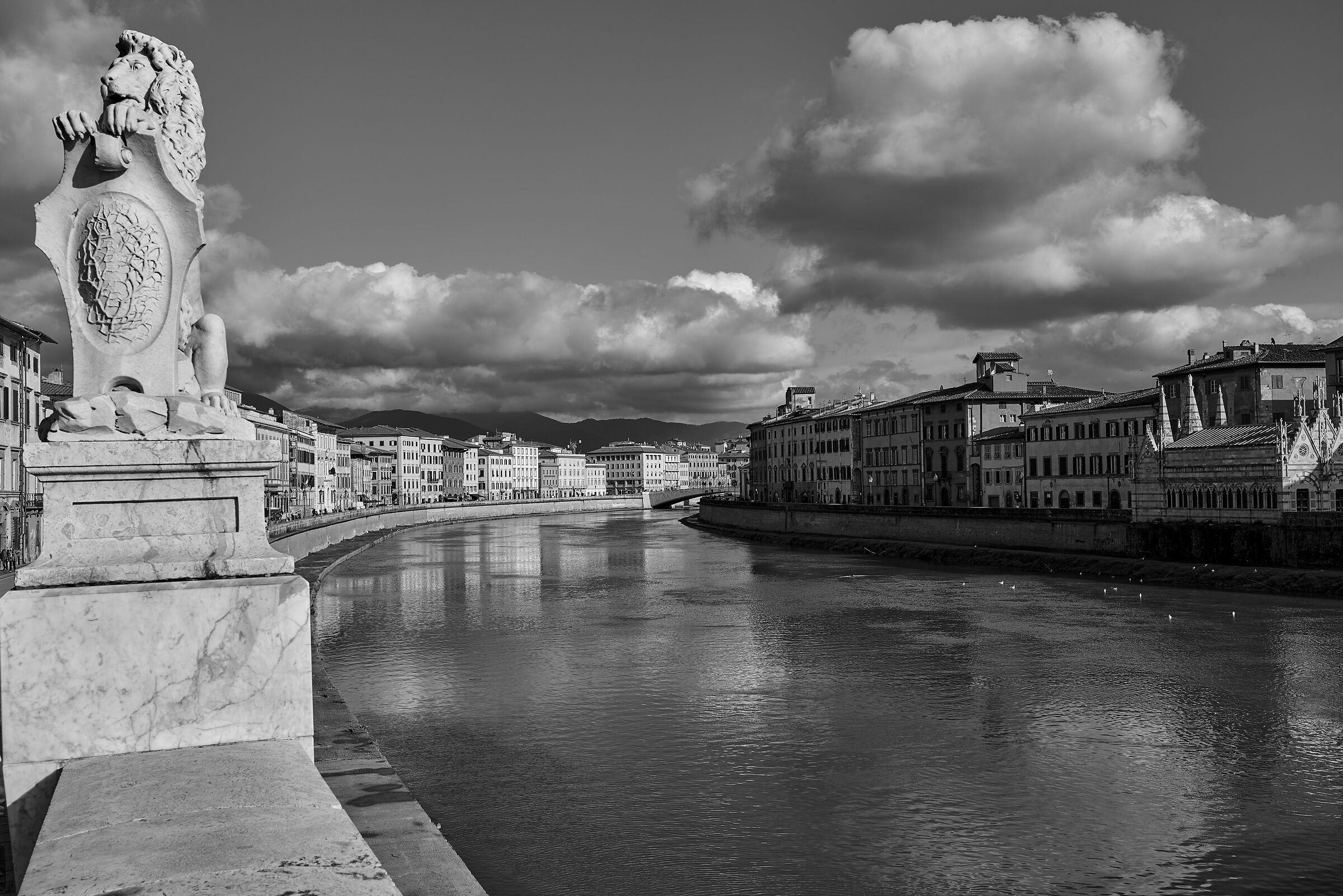 Not only Piazza dei Miracoli